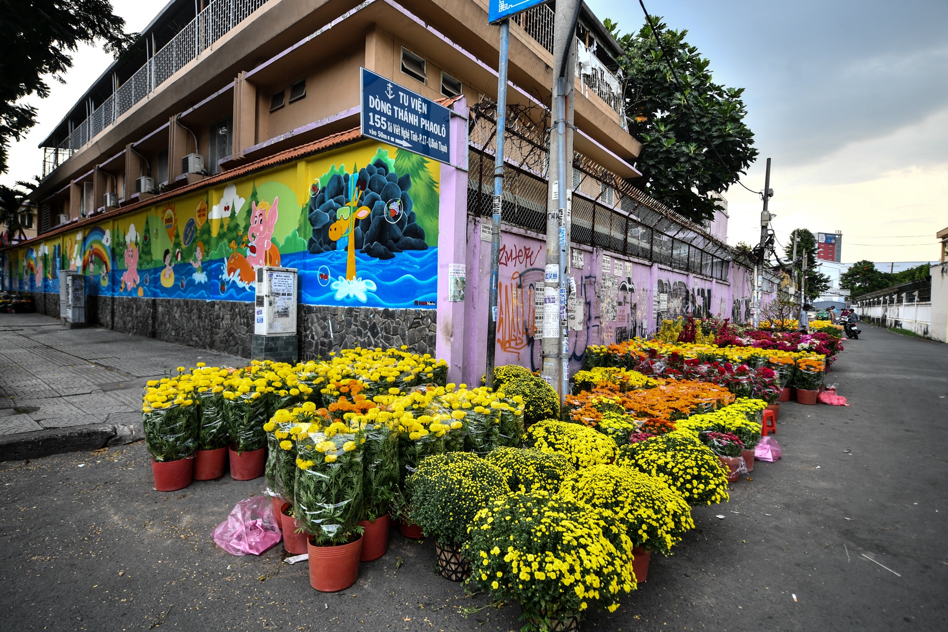 cho hoa TP.HCM e am anh 9