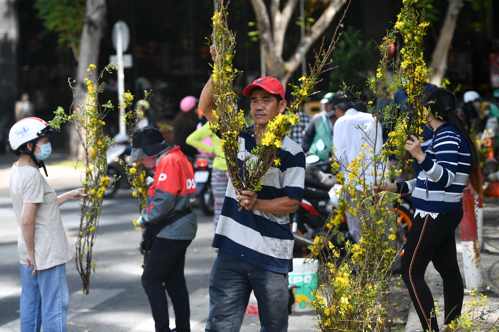 mua hoa 30 Tết ảnh 7 mua hoa 30 Tet anh 7