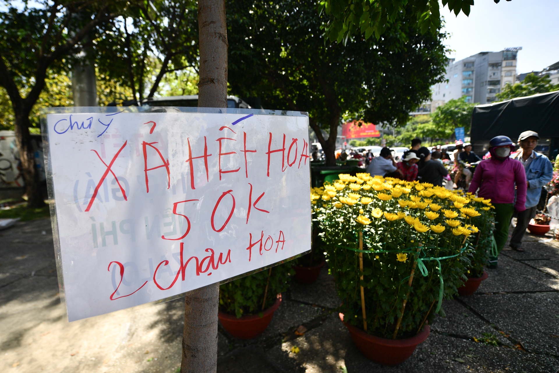 mua hoa 30 Tết ảnh 4 mua hoa 30 Tet anh 4