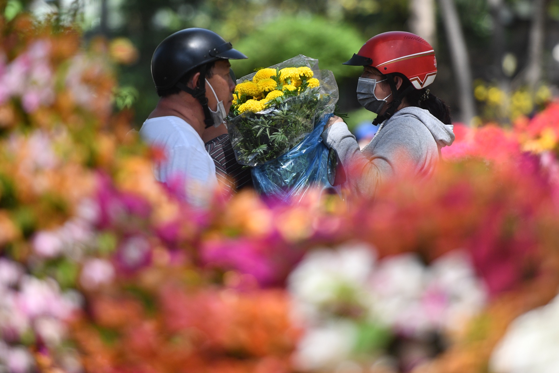 mua hoa 30 Tết ảnh 6 mua hoa 30 Tet anh 6