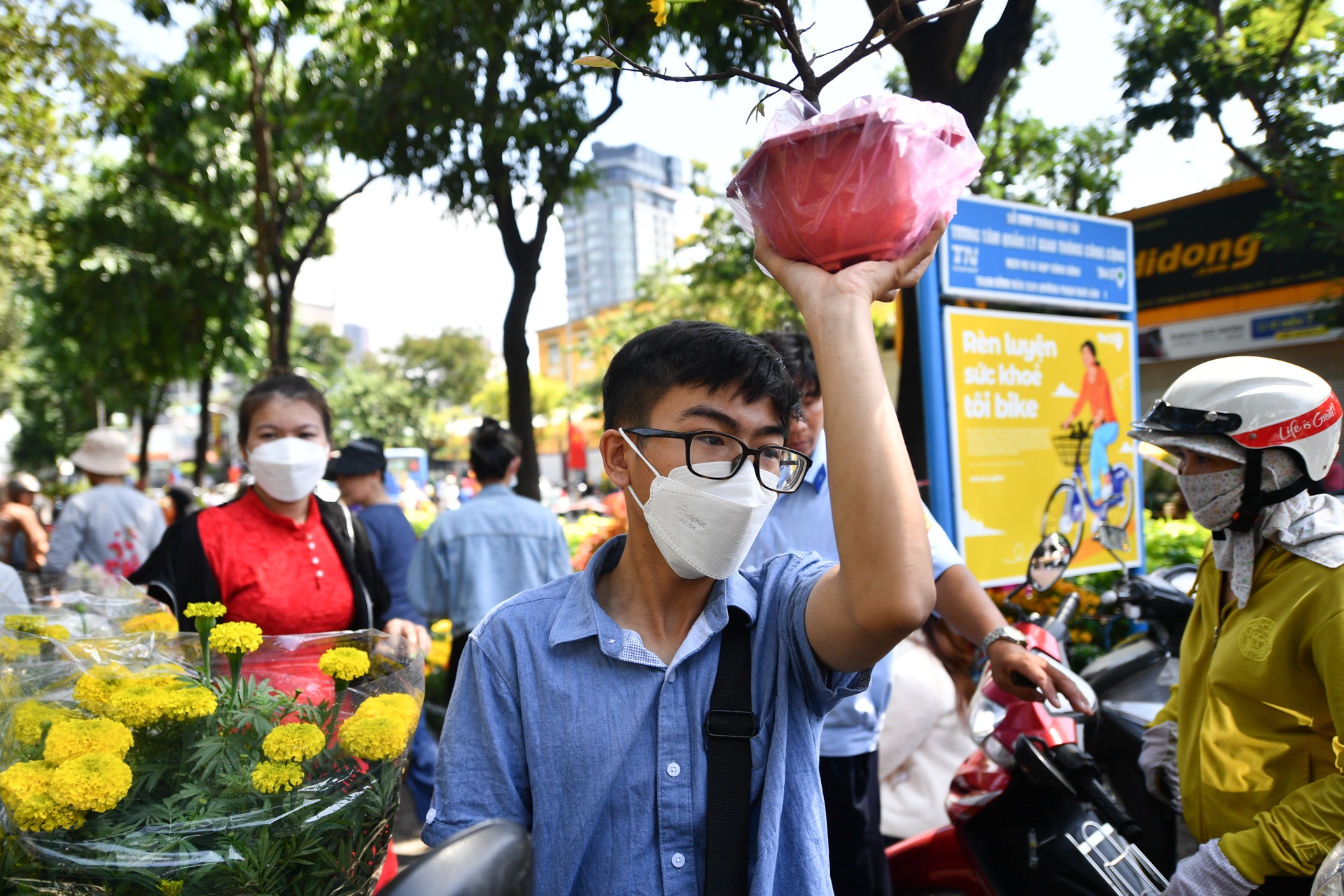 mua hoa 30 Tết ảnh 8 mua hoa 30 Tet anh 8