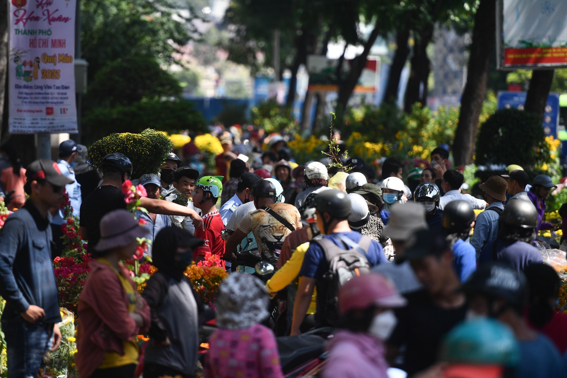 mua hoa 30 Tết ảnh 1 mua hoa 30 Tet anh 1