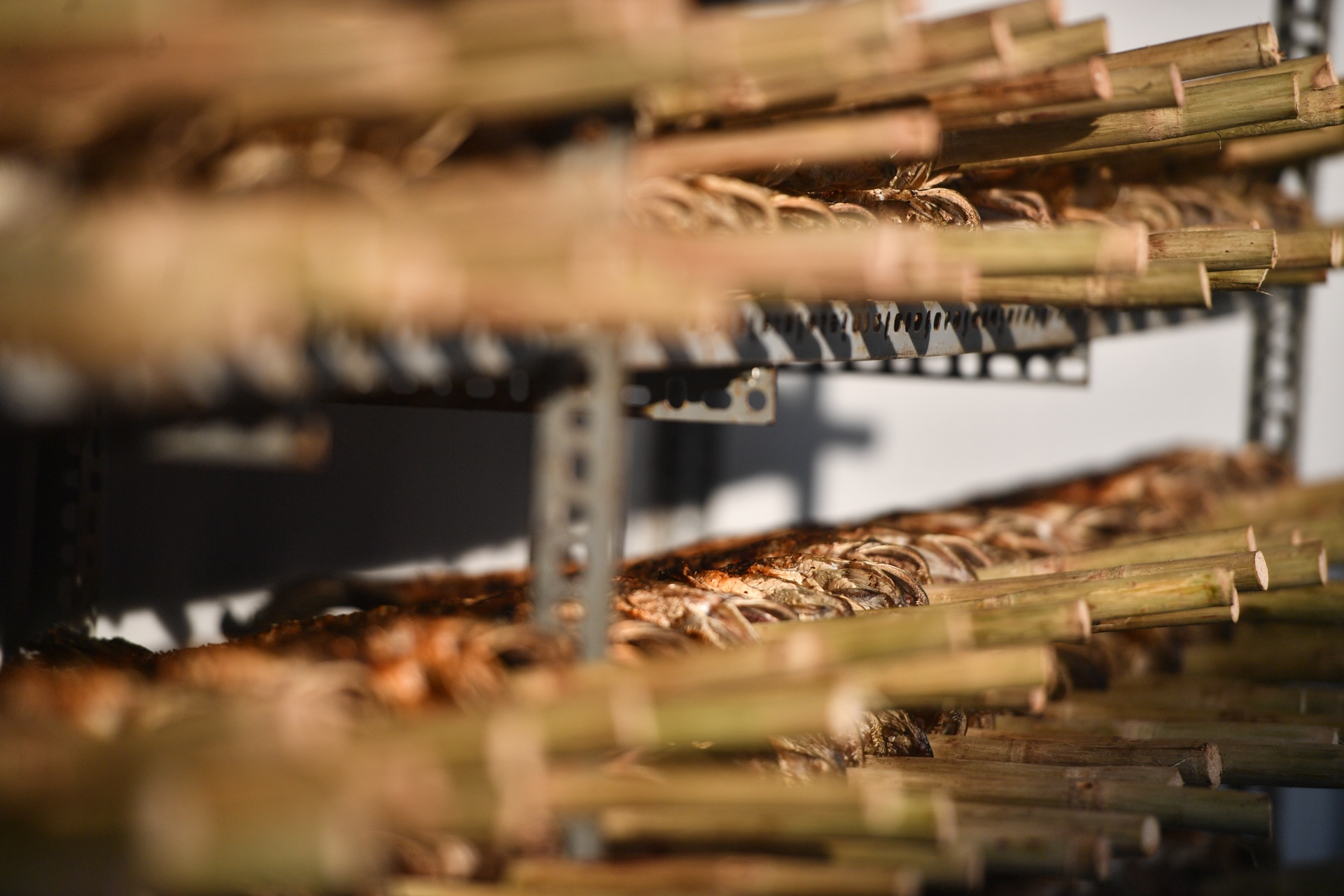 ca loc via Than Tai anh 10