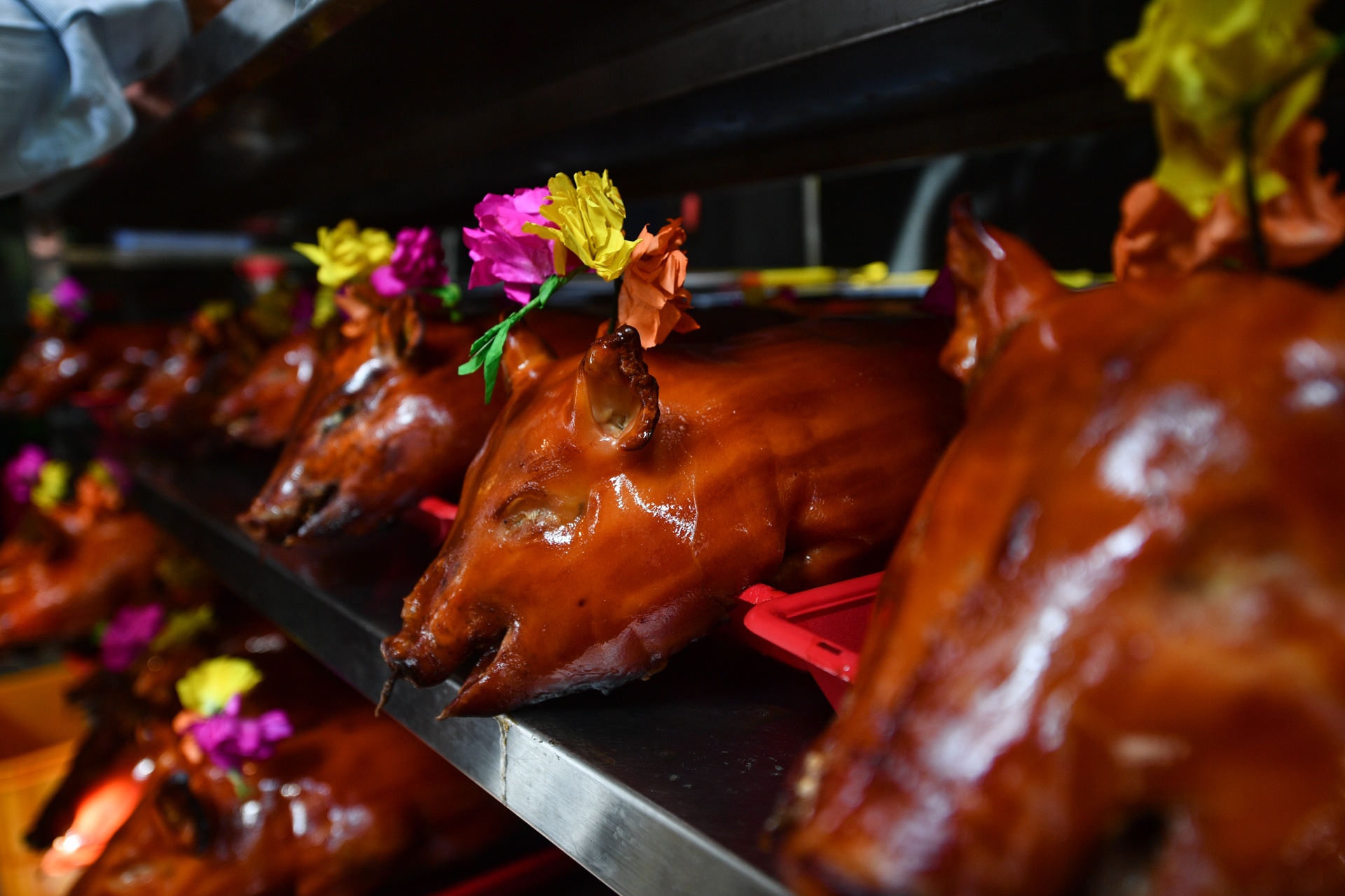 heo quay via Than Tai anh 6