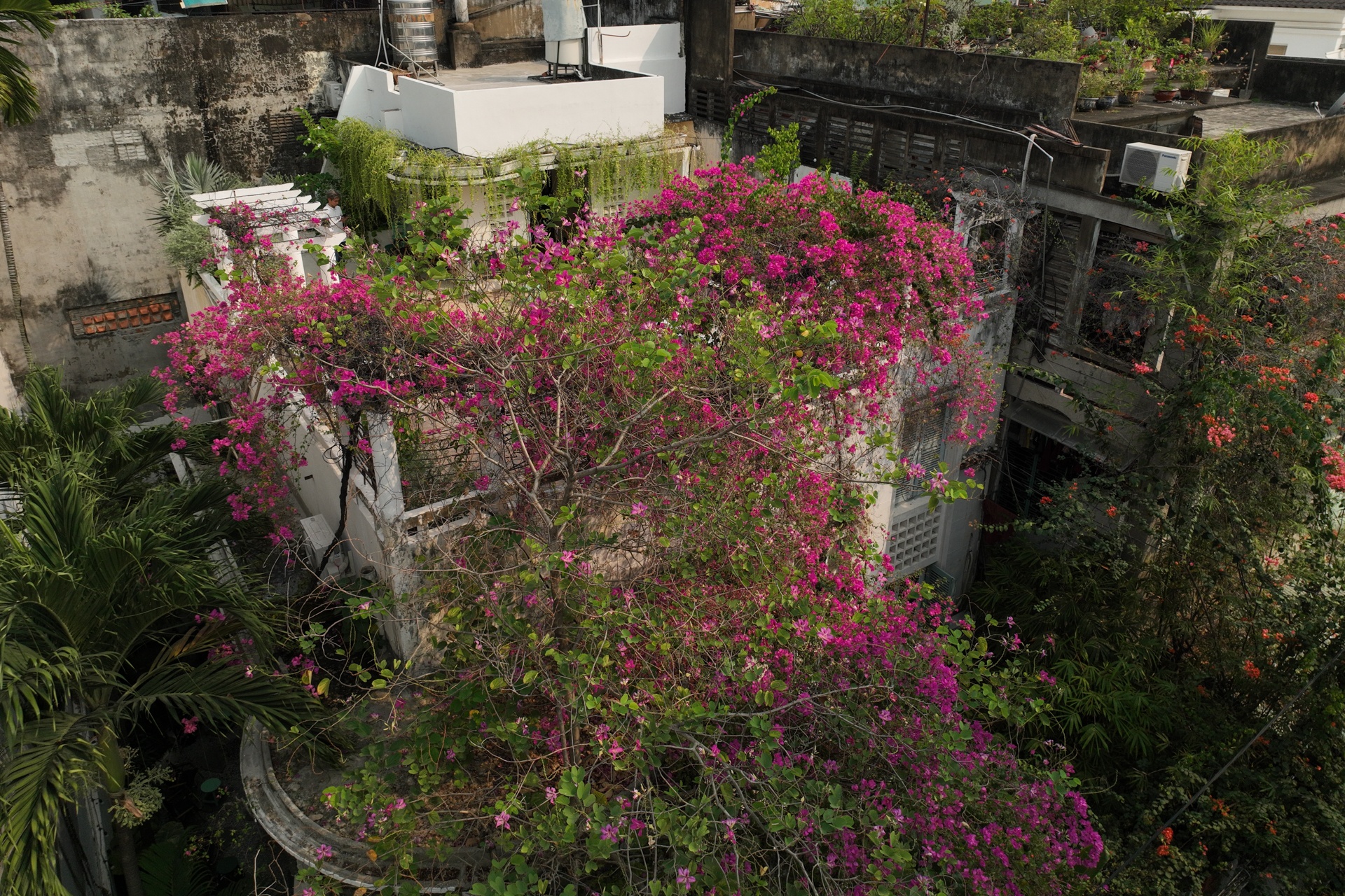 Biet thu co TP.HCM anh 4