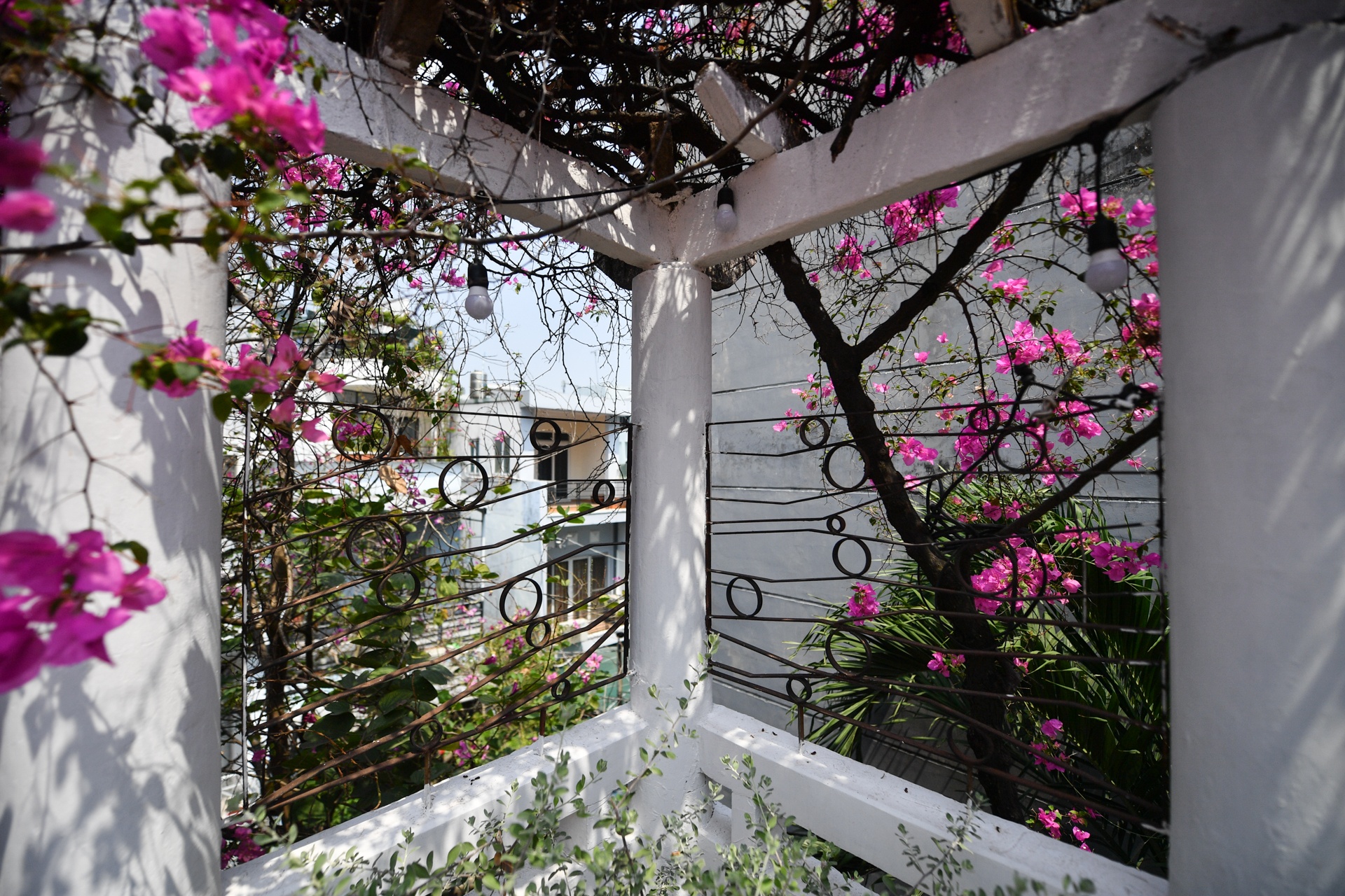 Biệt thự cổ TP.HCM ảnh 15 Biet thu co TP.HCM anh 15