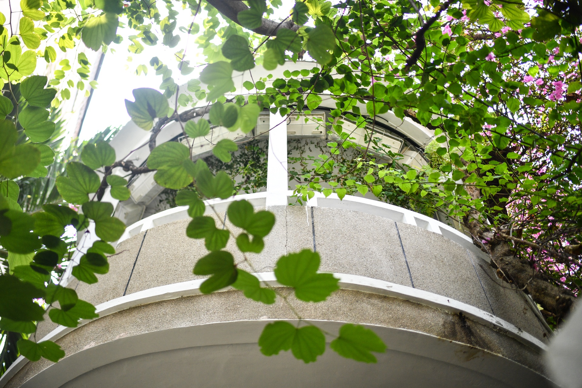 Biet thu co TP.HCM anh 3