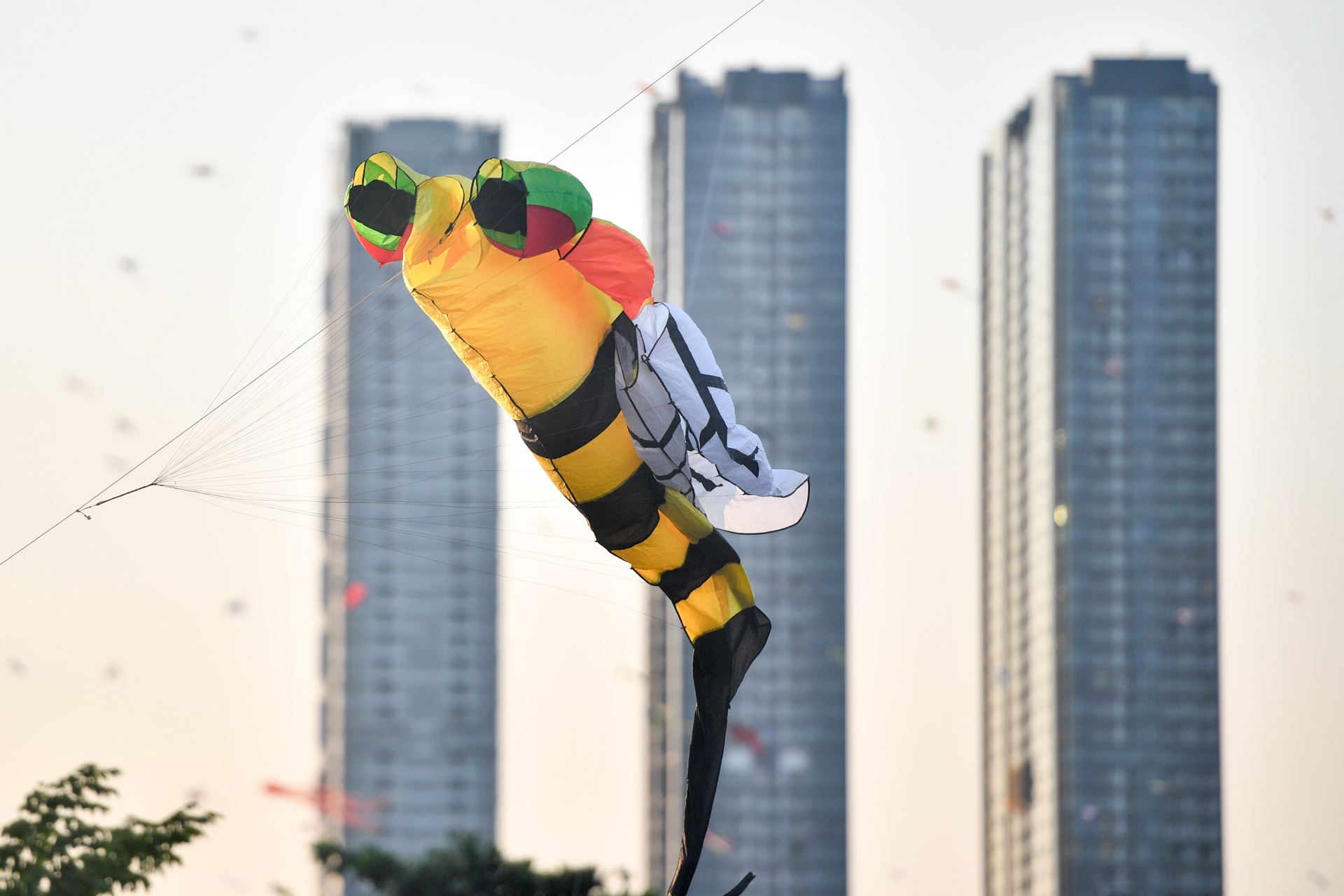 tha dieu cau Ba Son anh 7