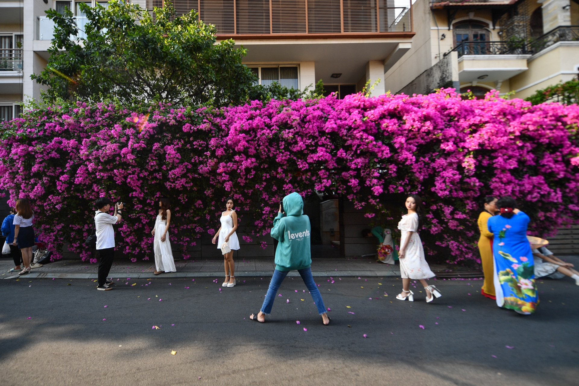 con duong hoa giay TP.HCM anh 1