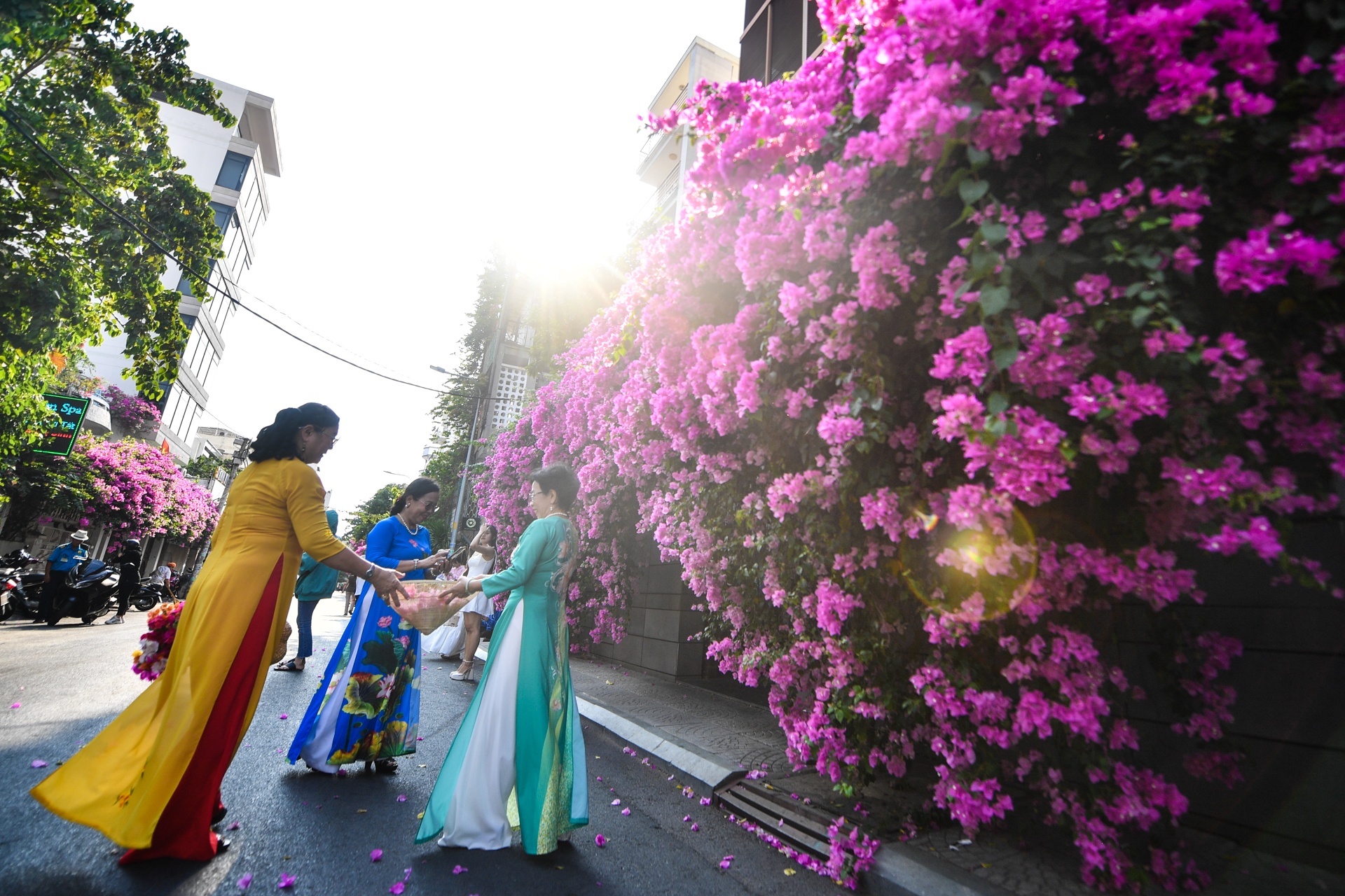 con duong hoa giay TP.HCM anh 6