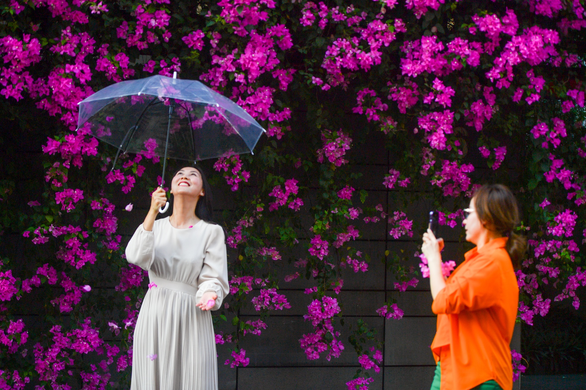 con duong hoa giay TP.HCM anh 4