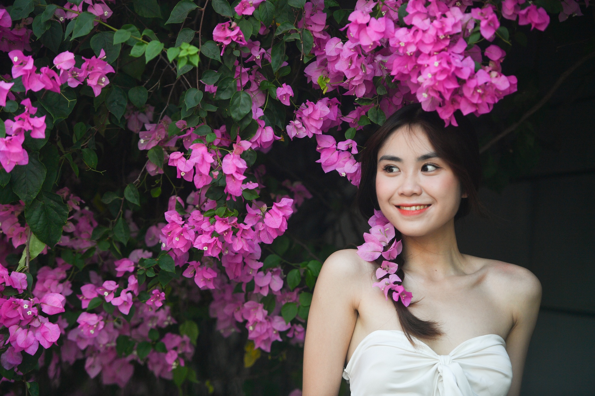 con duong hoa giay TP.HCM anh 3