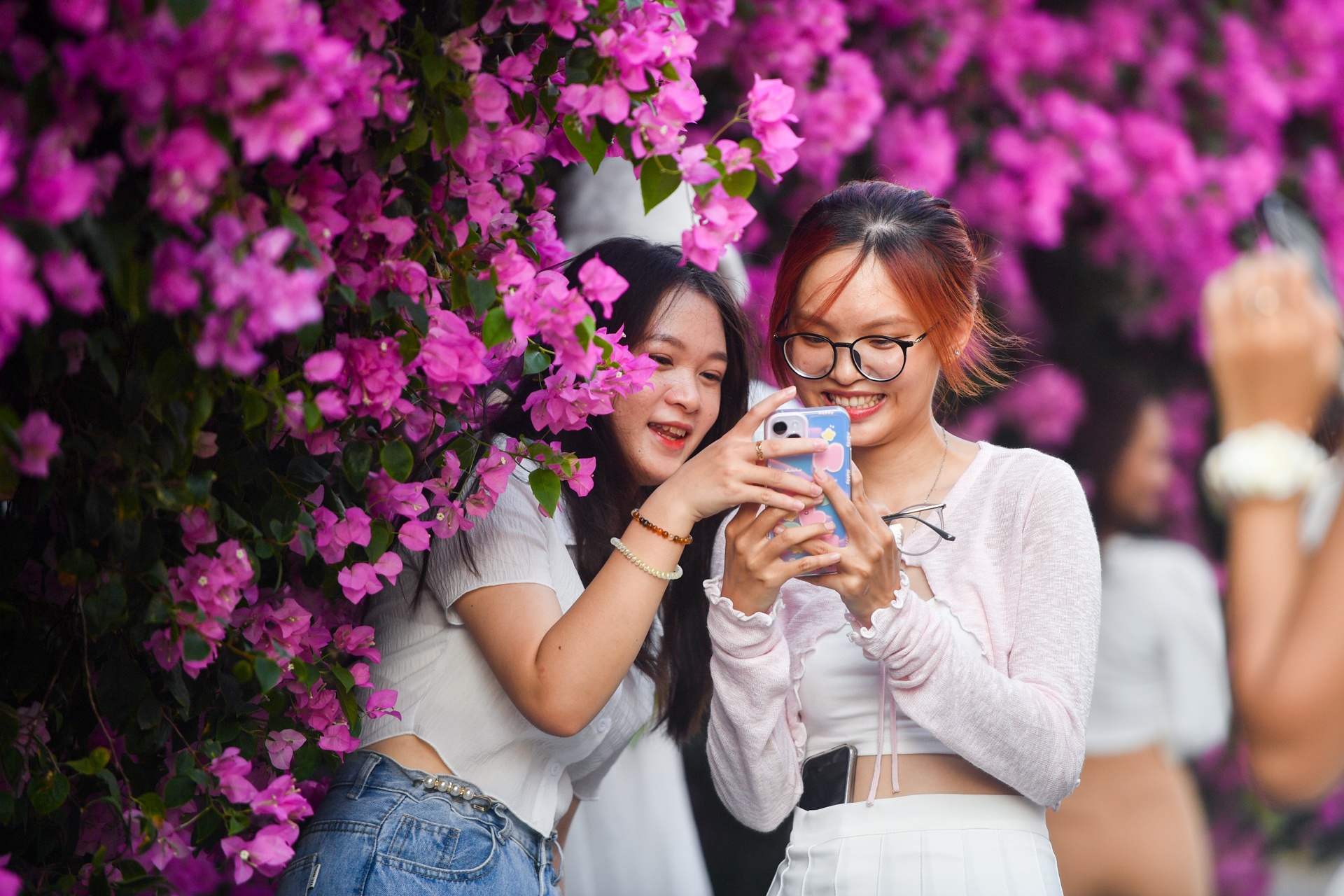 con duong hoa giay TP.HCM anh 2