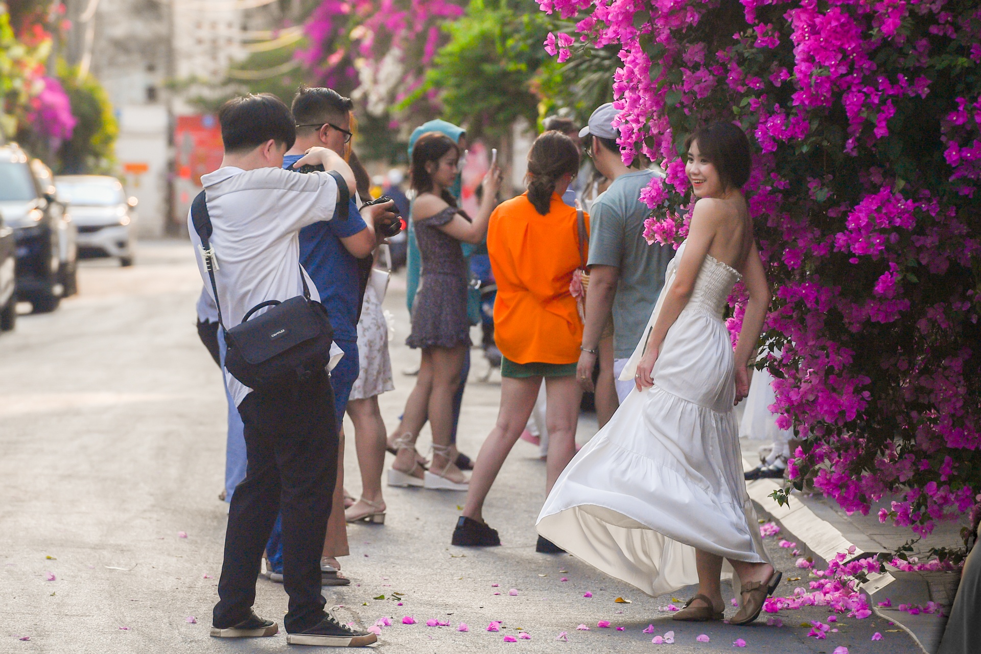 con duong hoa giay TP.HCM anh 11