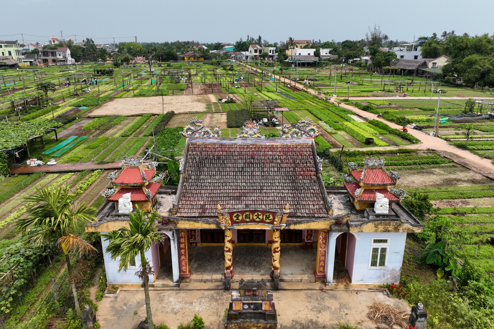 Du lich Hoi An anh 9