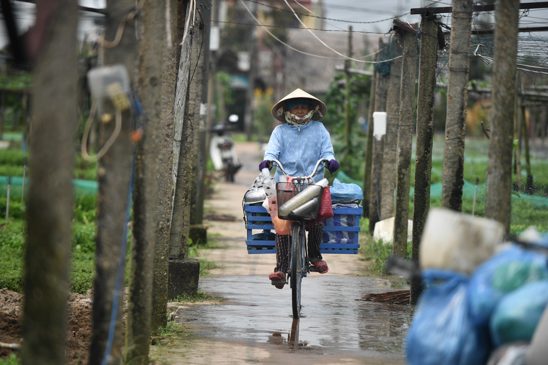 Du lich Hoi An anh 6