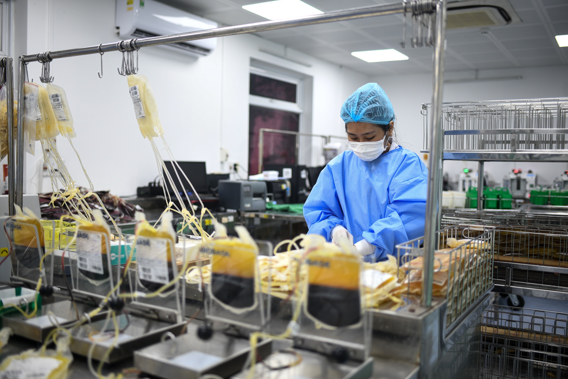 doi lay mau Cho Ray anh 26