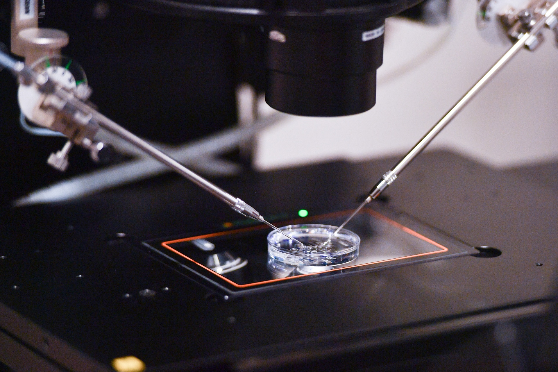 Benh vien Tu Du anh 6