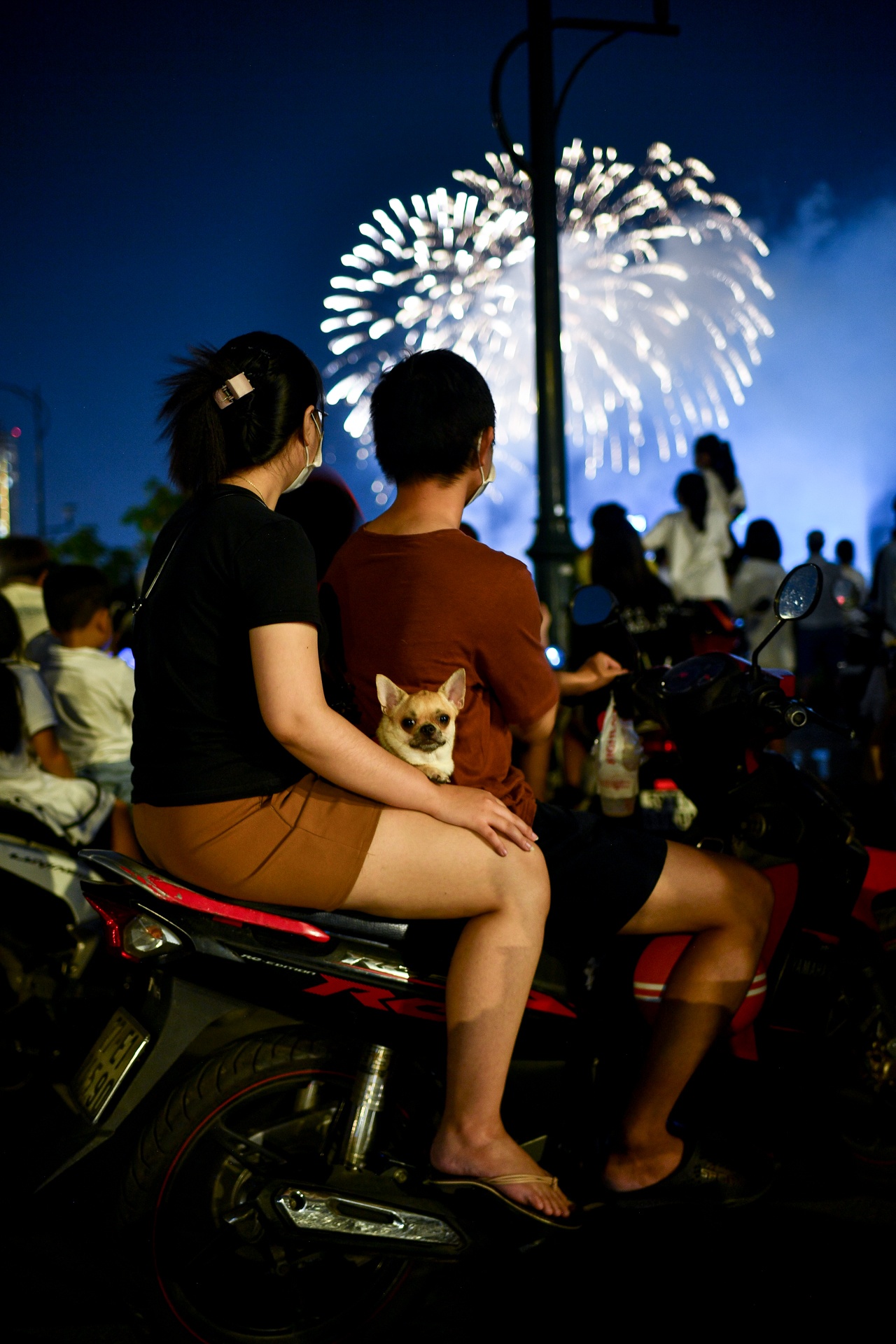 phao hoa TP.HCM 30/4 anh 6