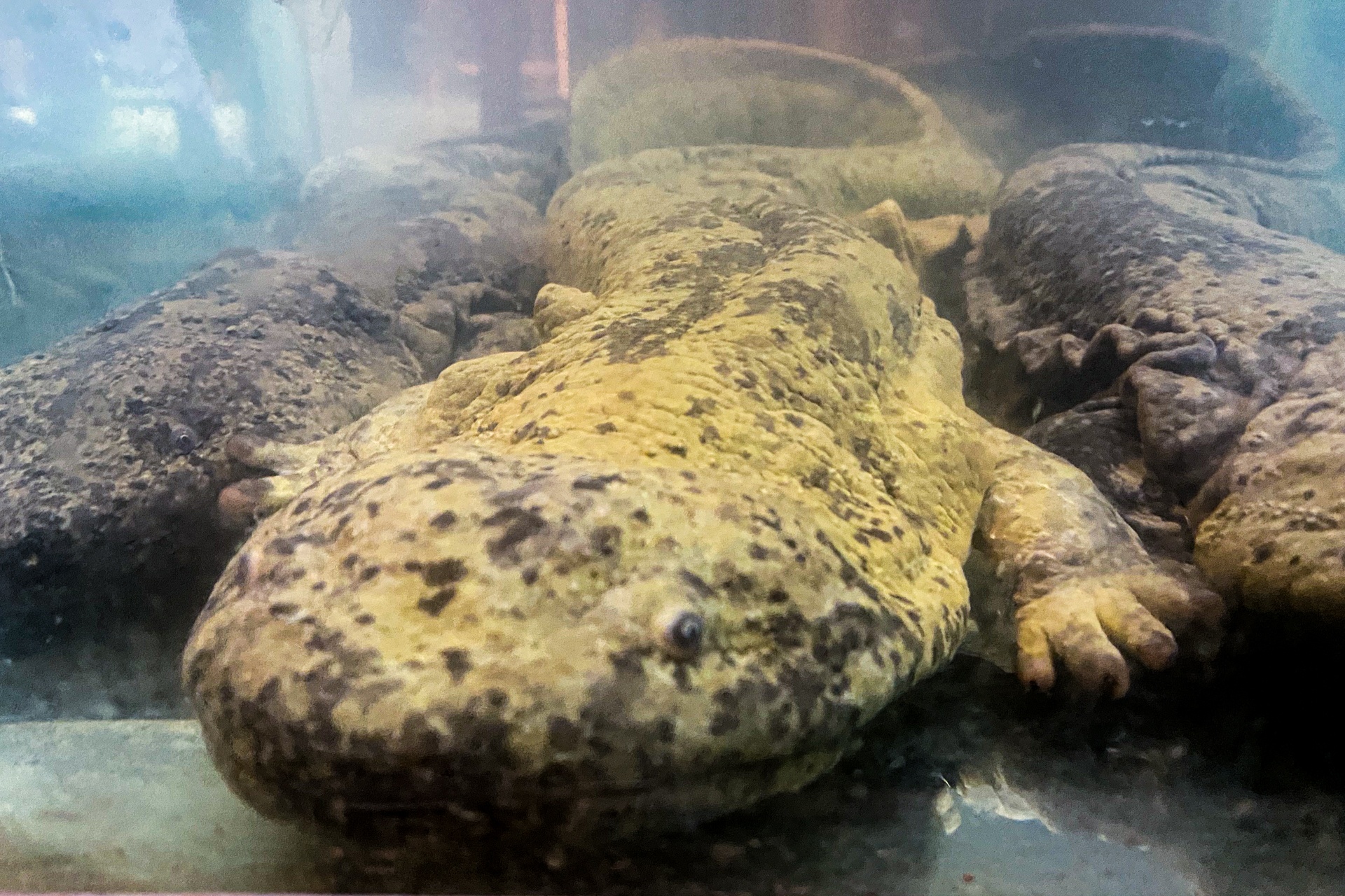 Du lich Trung Quoc anh 8