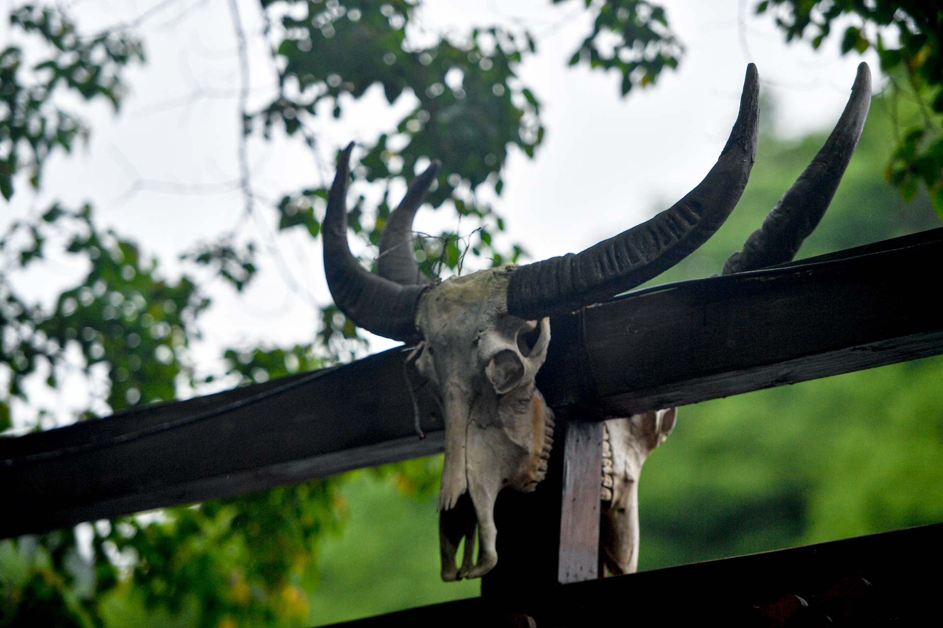 du lich Trung Quoc anh 13