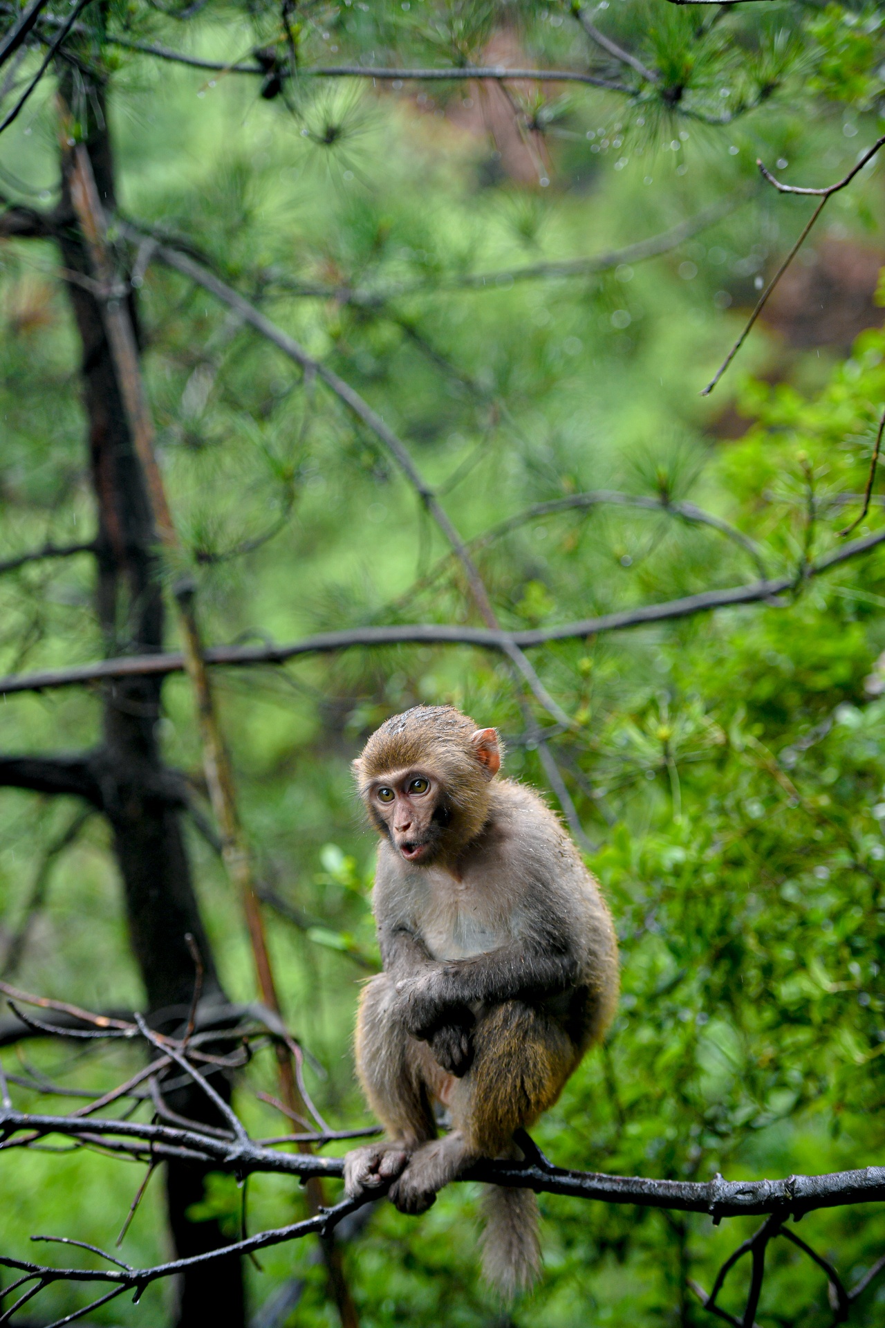 du lich Trung Quoc anh 46