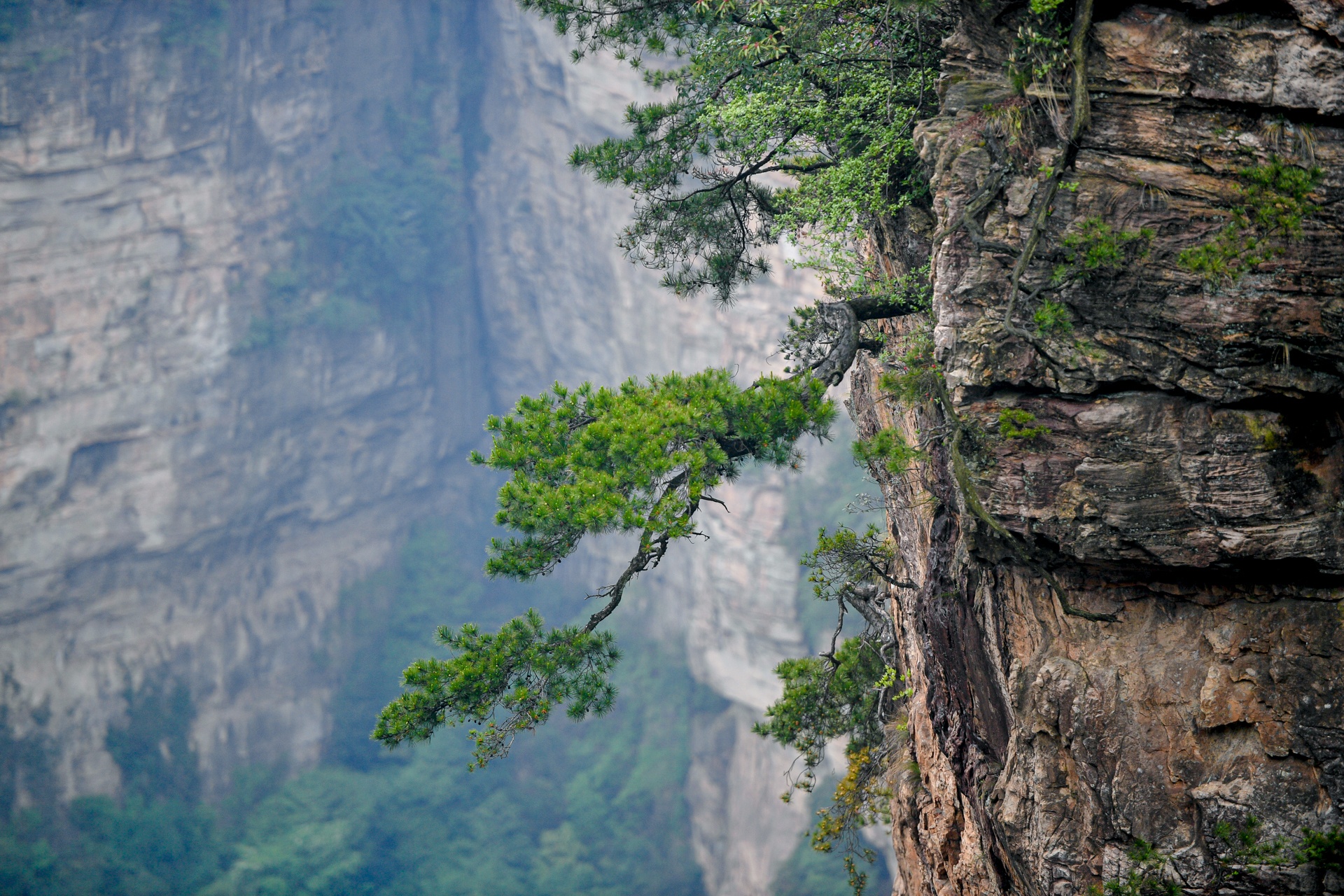 du lich Trung Quoc anh 49