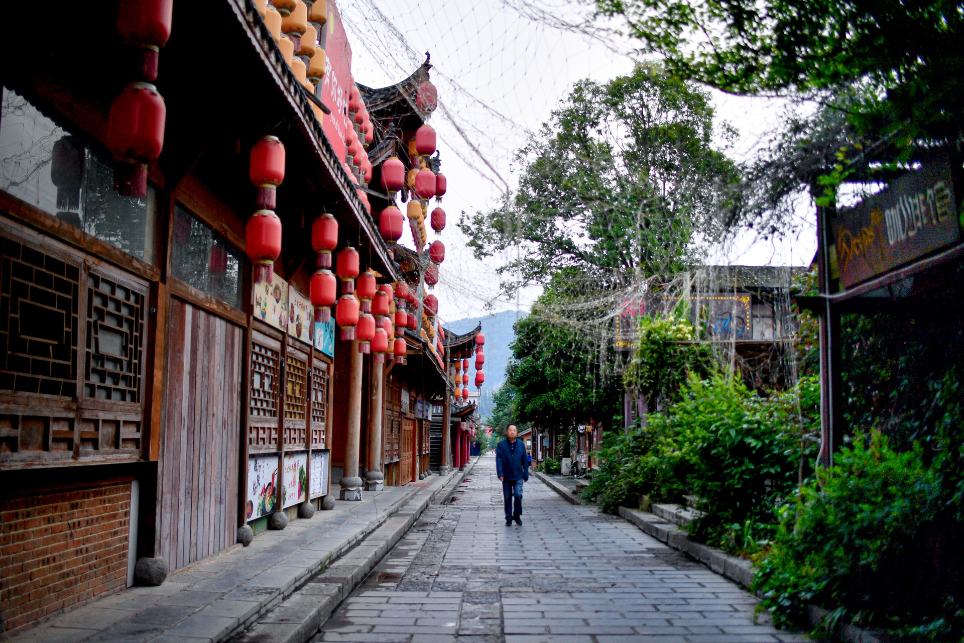 Canh diu hiu, vang lang o con pho du lich tai Trung Quoc hinh anh