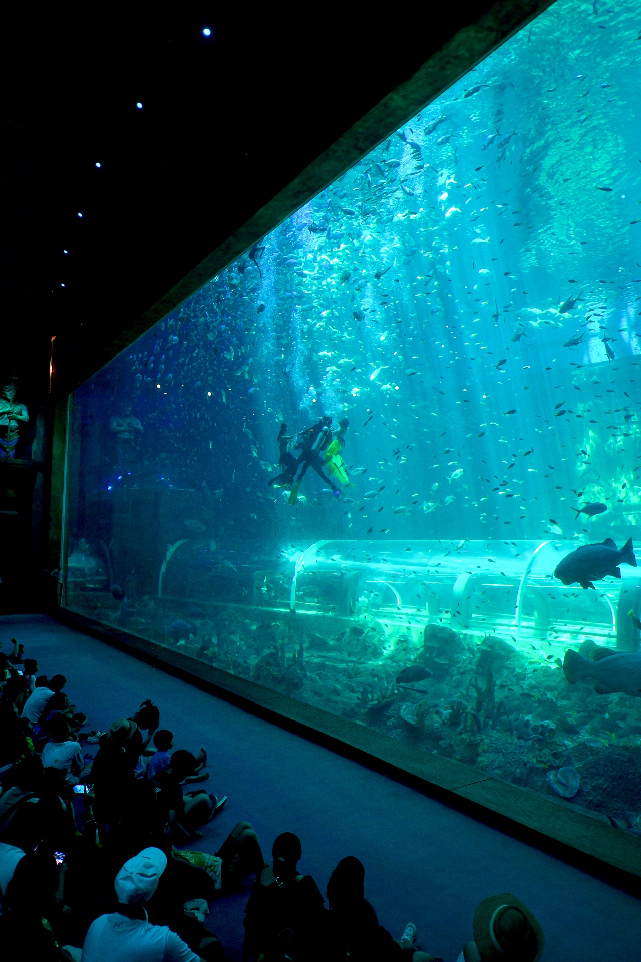 nàng tiên cá Phú Quốc ảnh 26 nang tien ca Phu Quoc anh 26