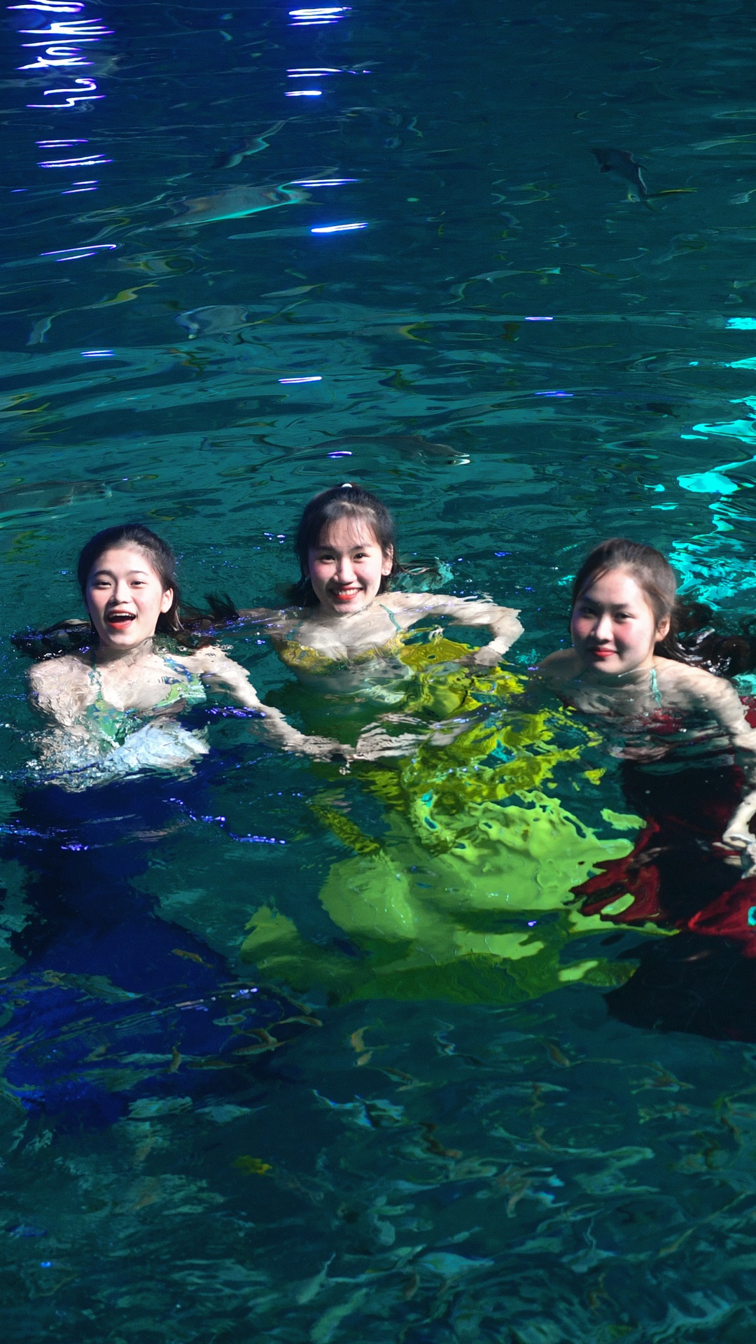 nàng tiên cá Phú Quốc ảnh 3 nang tien ca Phu Quoc anh 3