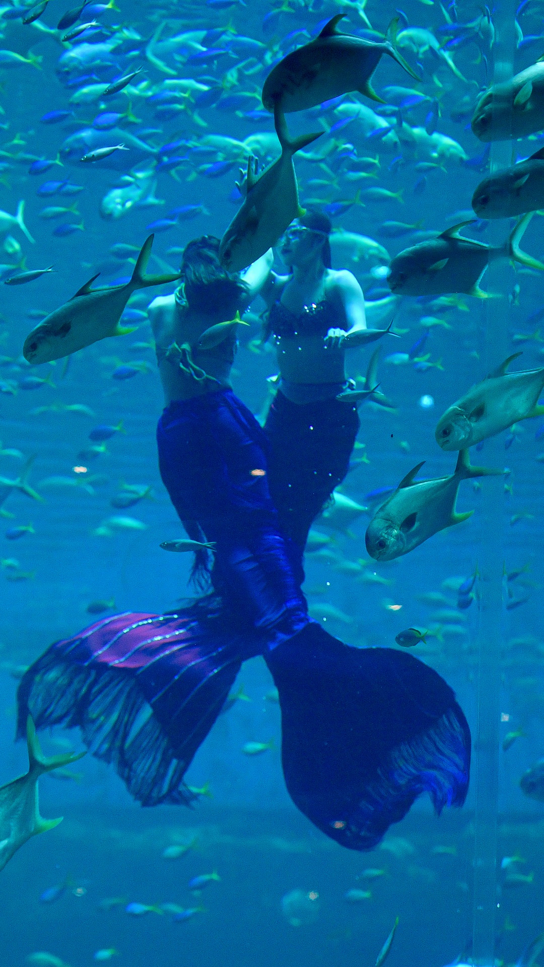 nàng tiên cá Phú Quốc ảnh 28 nang tien ca Phu Quoc anh 28