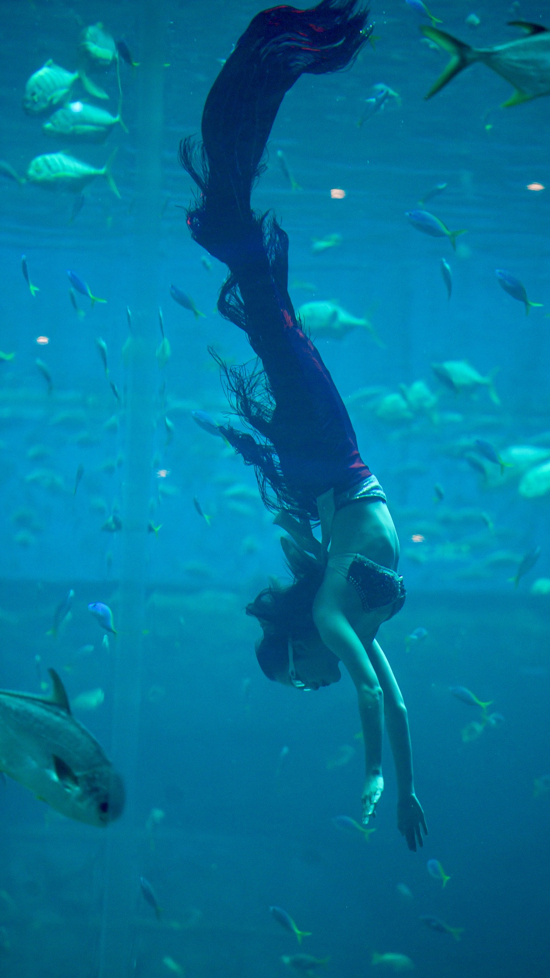 nàng tiên cá Phú Quốc ảnh 18 nang tien ca Phu Quoc anh 18