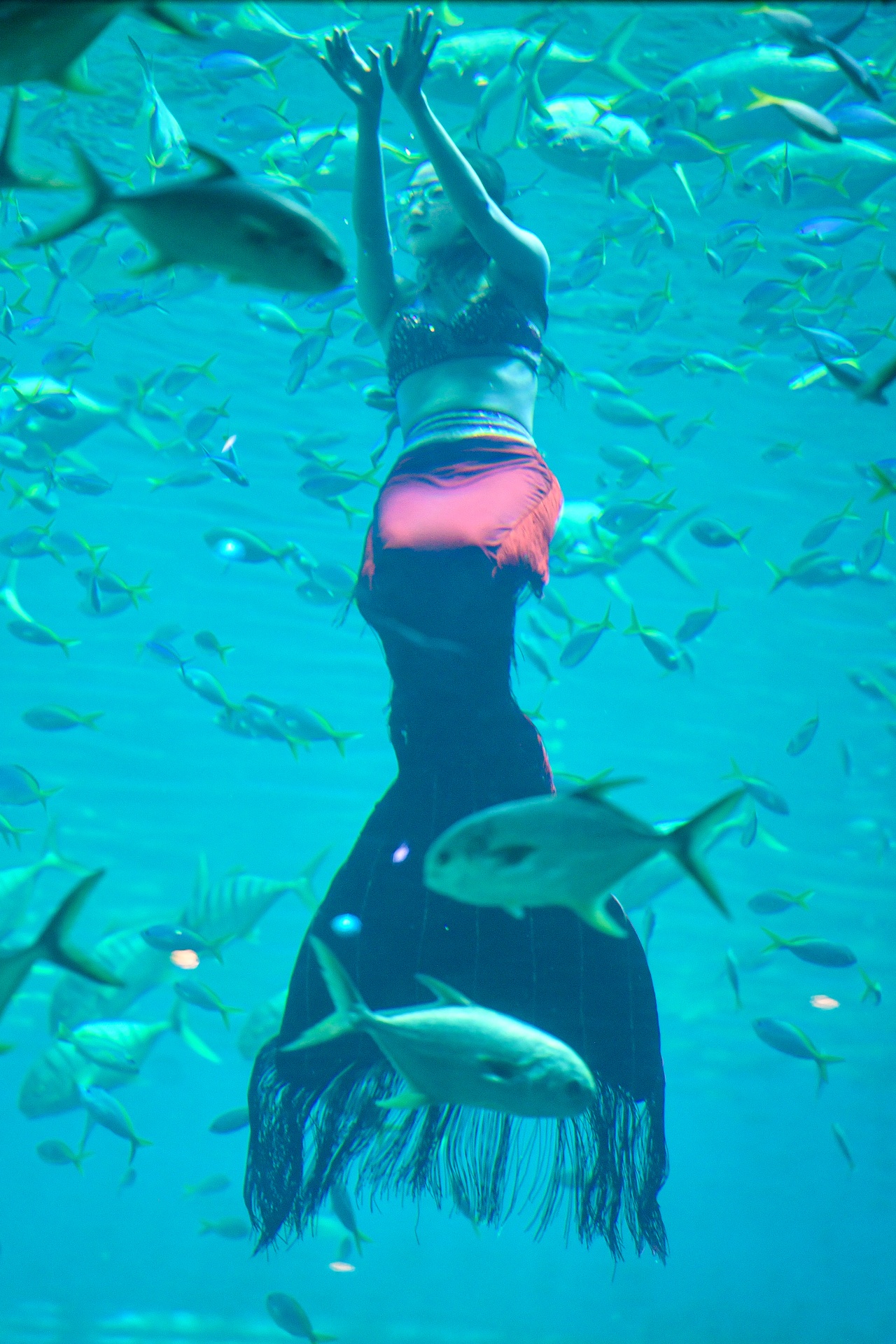 nàng tiên cá Phú Quốc ảnh 24 nang tien ca Phu Quoc anh 24