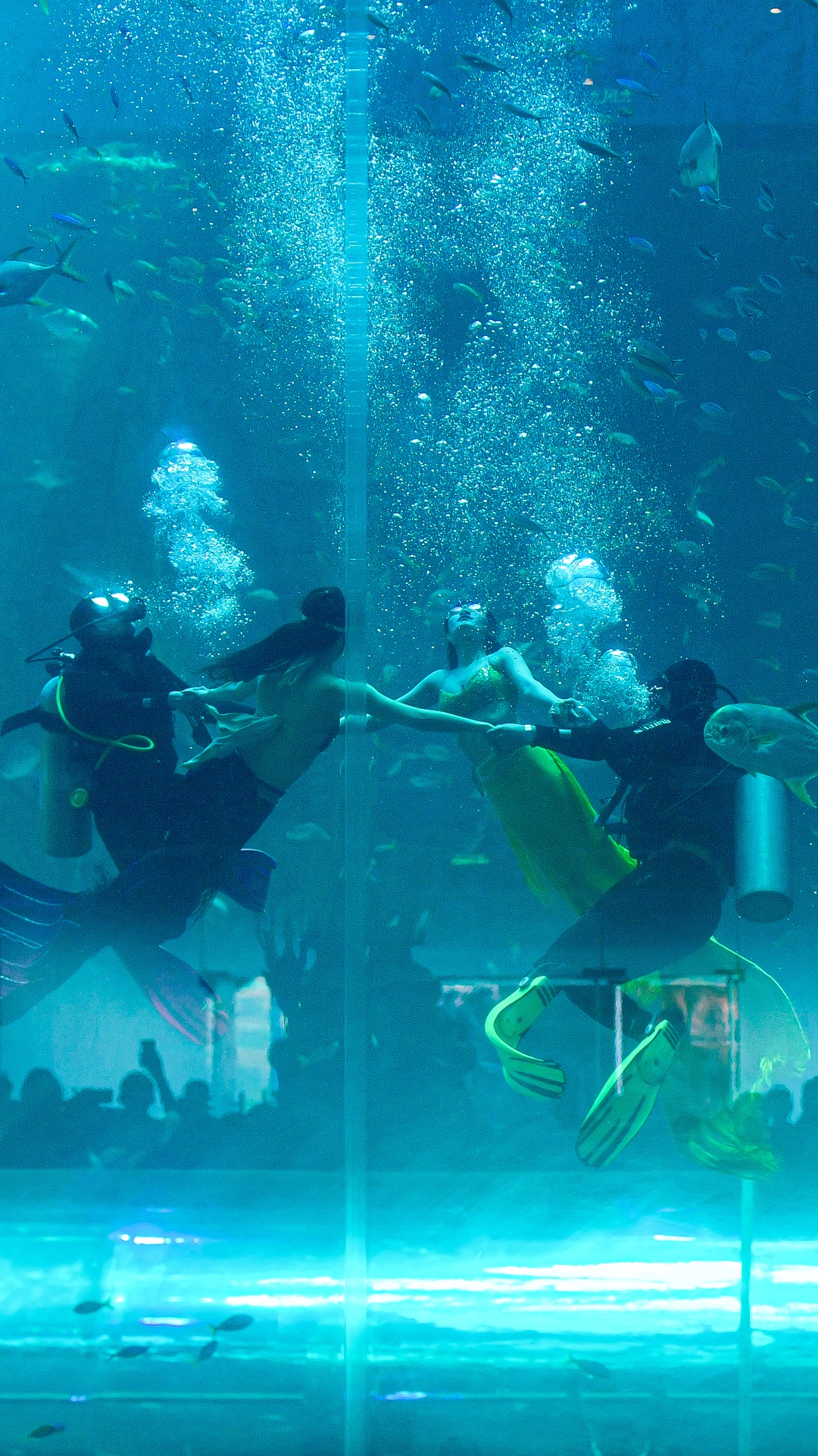 nàng tiên cá Phú Quốc ảnh 20 nang tien ca Phu Quoc anh 20