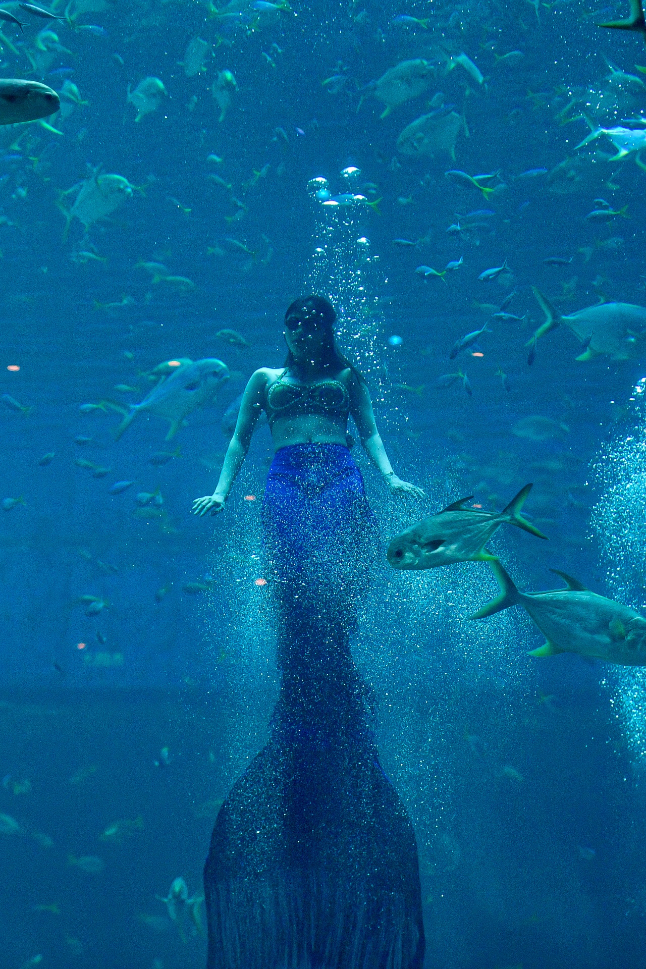 nàng tiên cá Phú Quốc ảnh 30 nang tien ca Phu Quoc anh 30