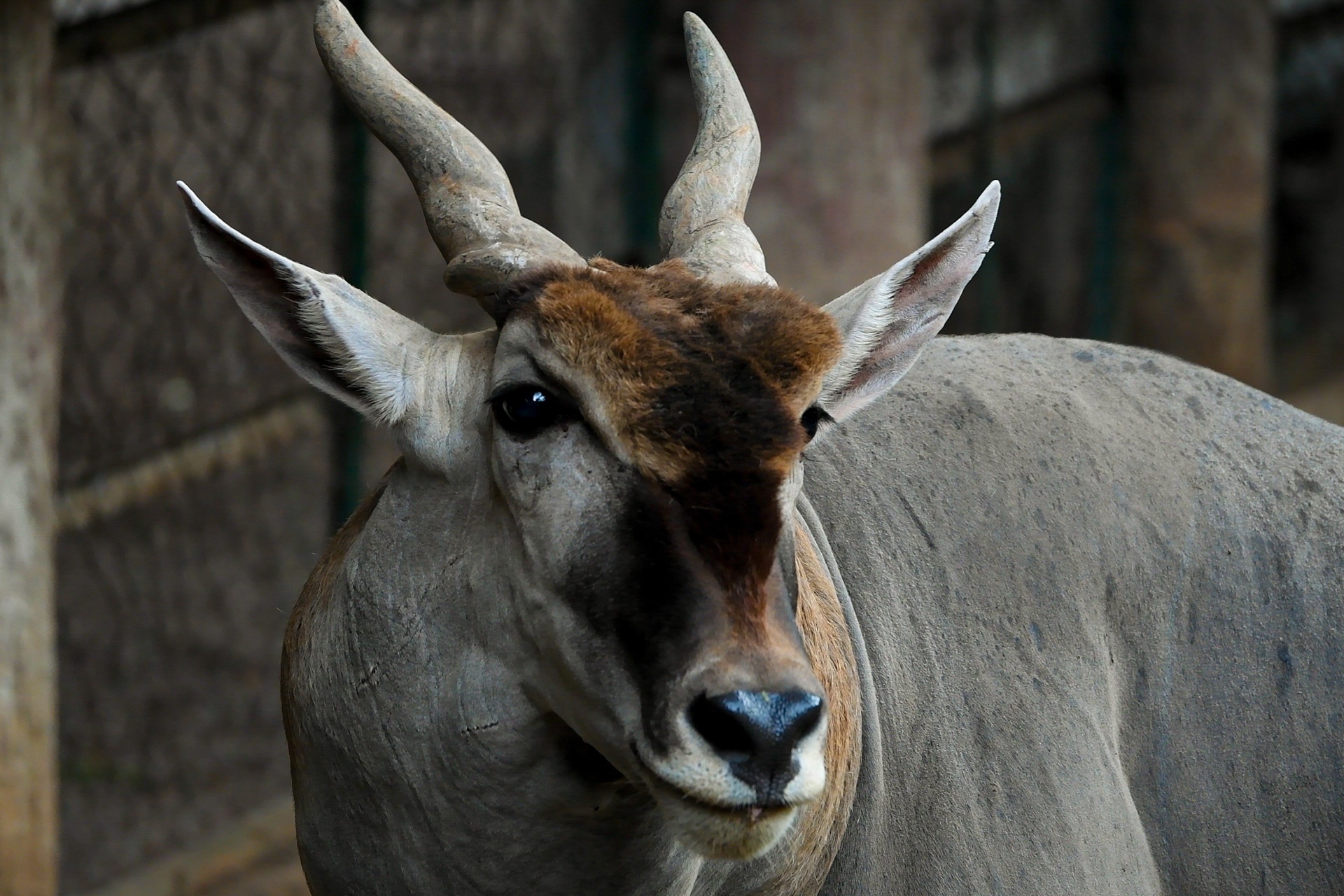 Thao Cam Vien anh 10