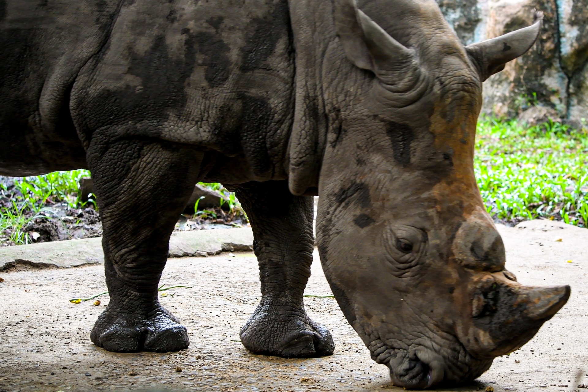 Thao Cam Vien anh 12