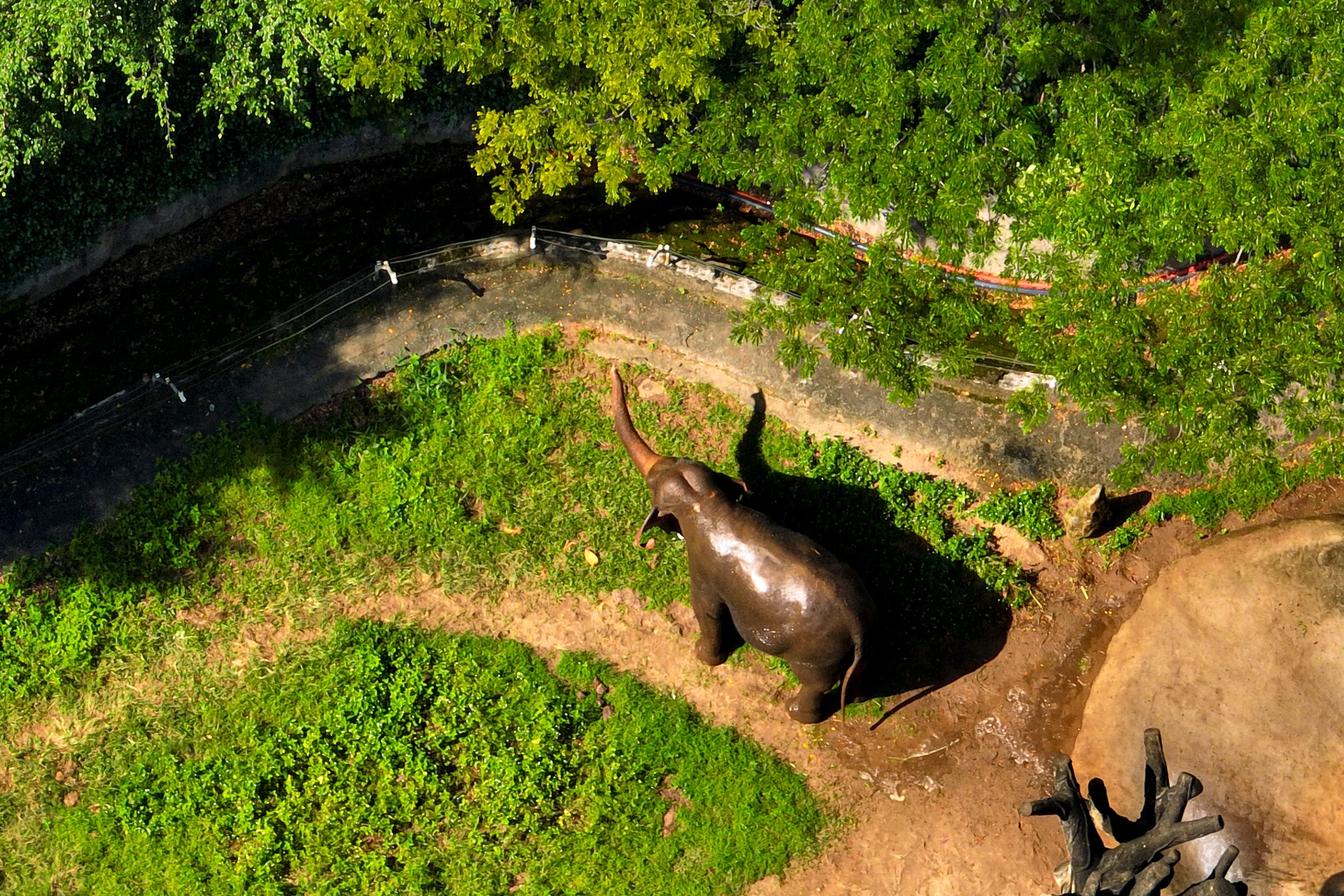 Ngam Thao Cam Vien tu tren cao hinh anh