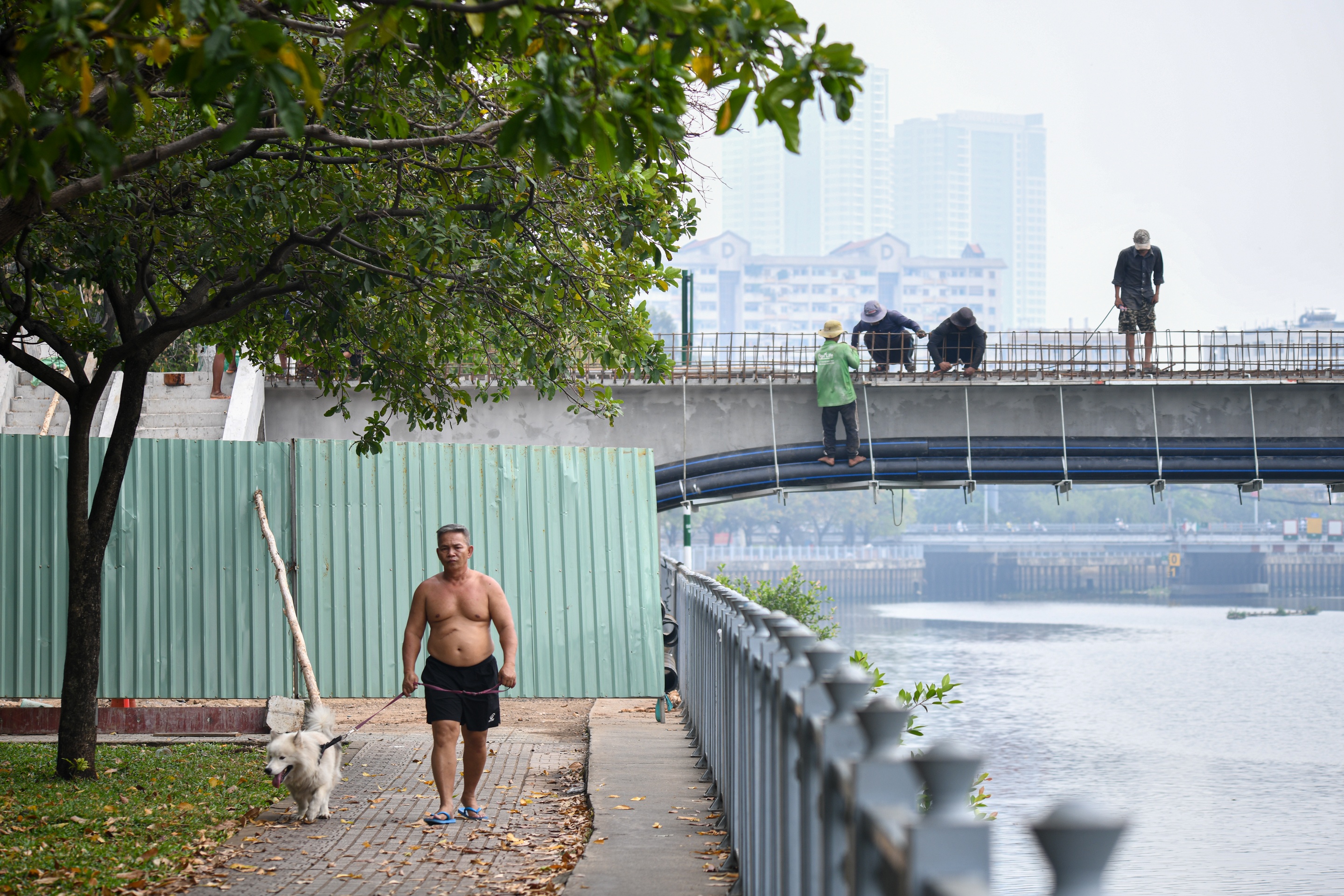 Cau di bo o TP.HCM anh 9