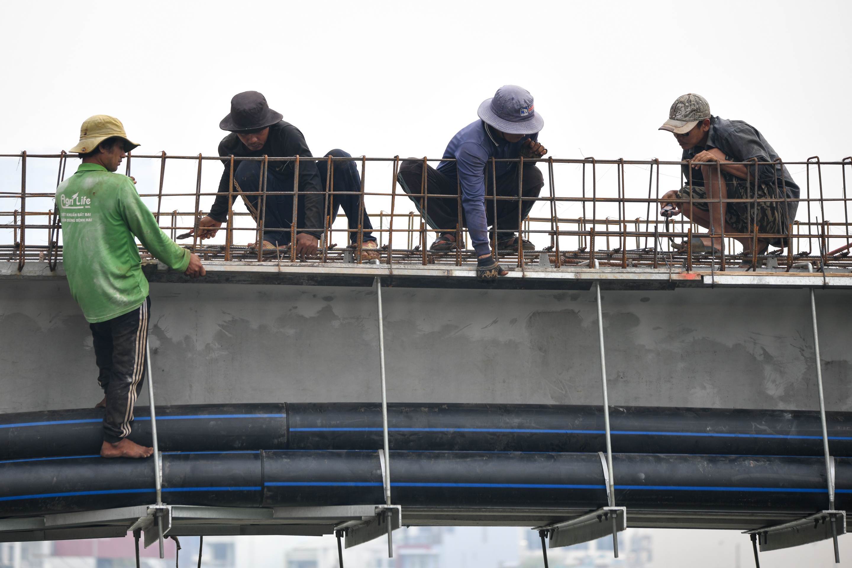 Cau di bo o TP.HCM anh 6