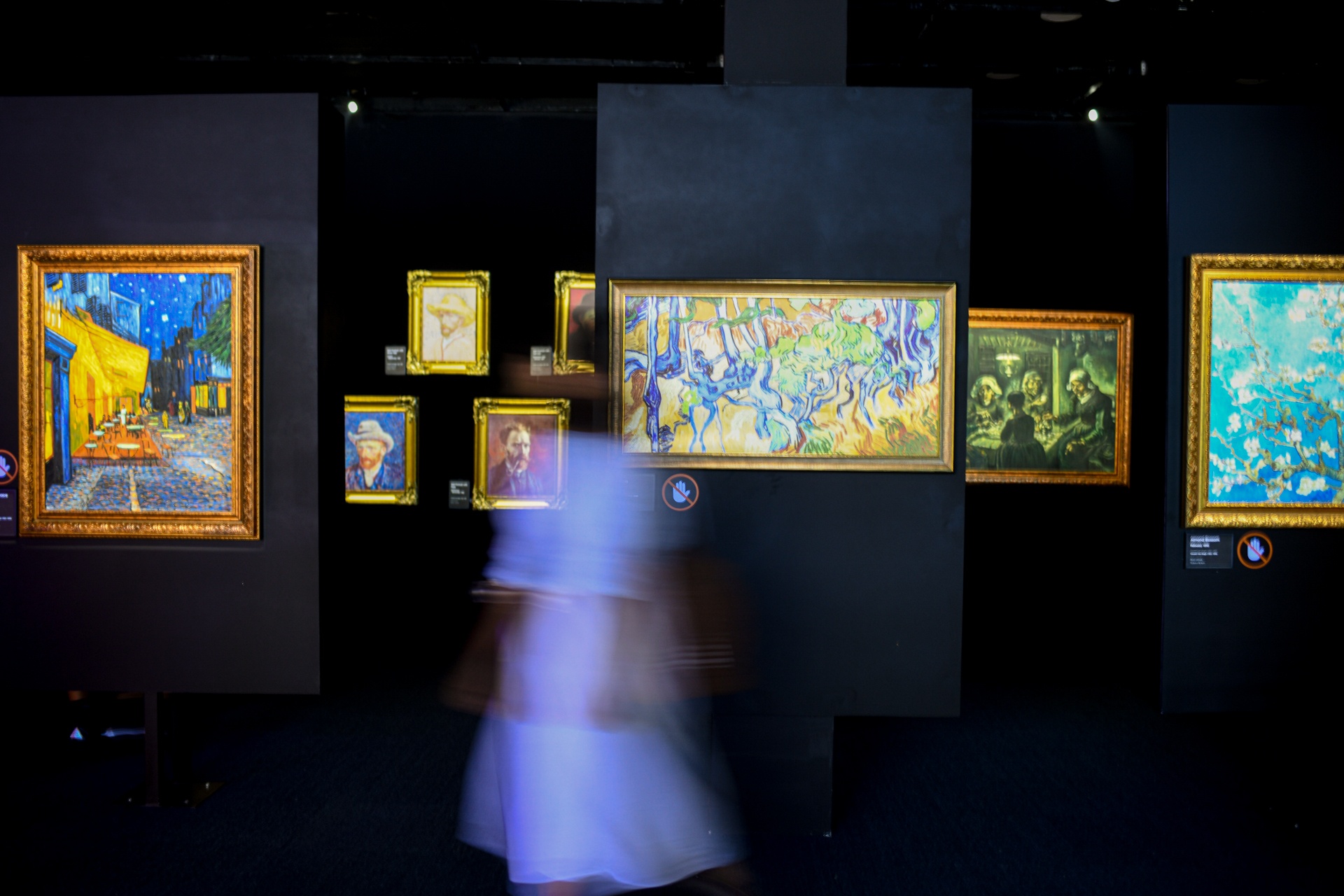 Trien lam Van Gogh TP.HCM anh 3