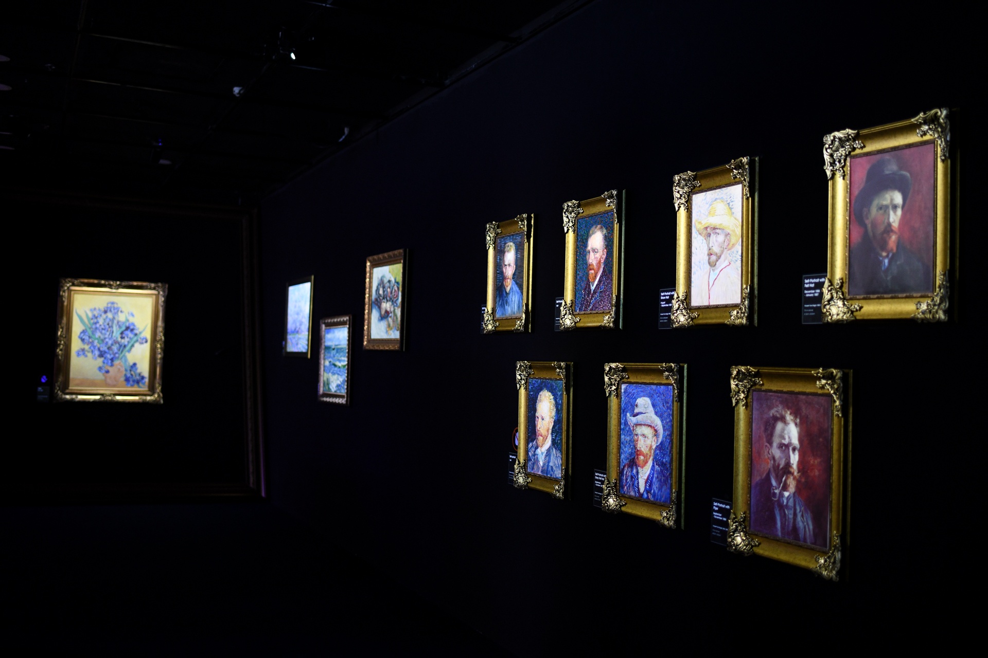 Trien lam Van Gogh TP.HCM anh 9