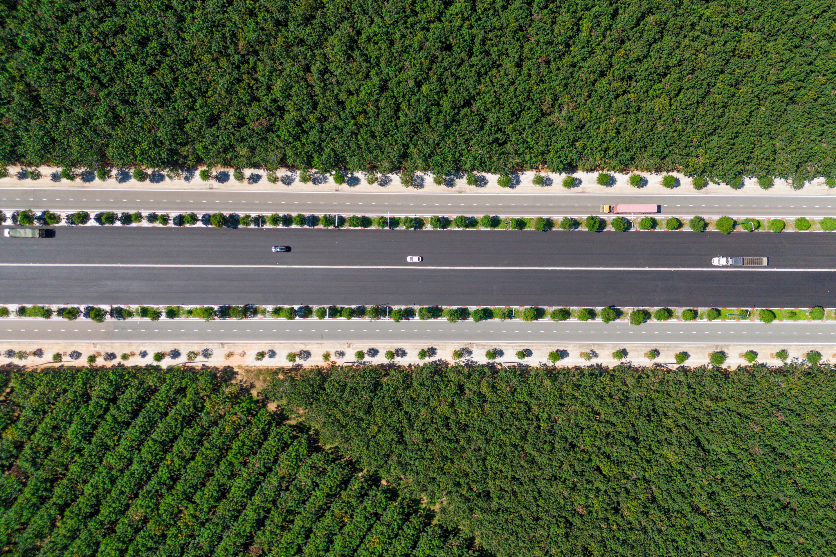 Duong My Phuoc Tan Van anh 2