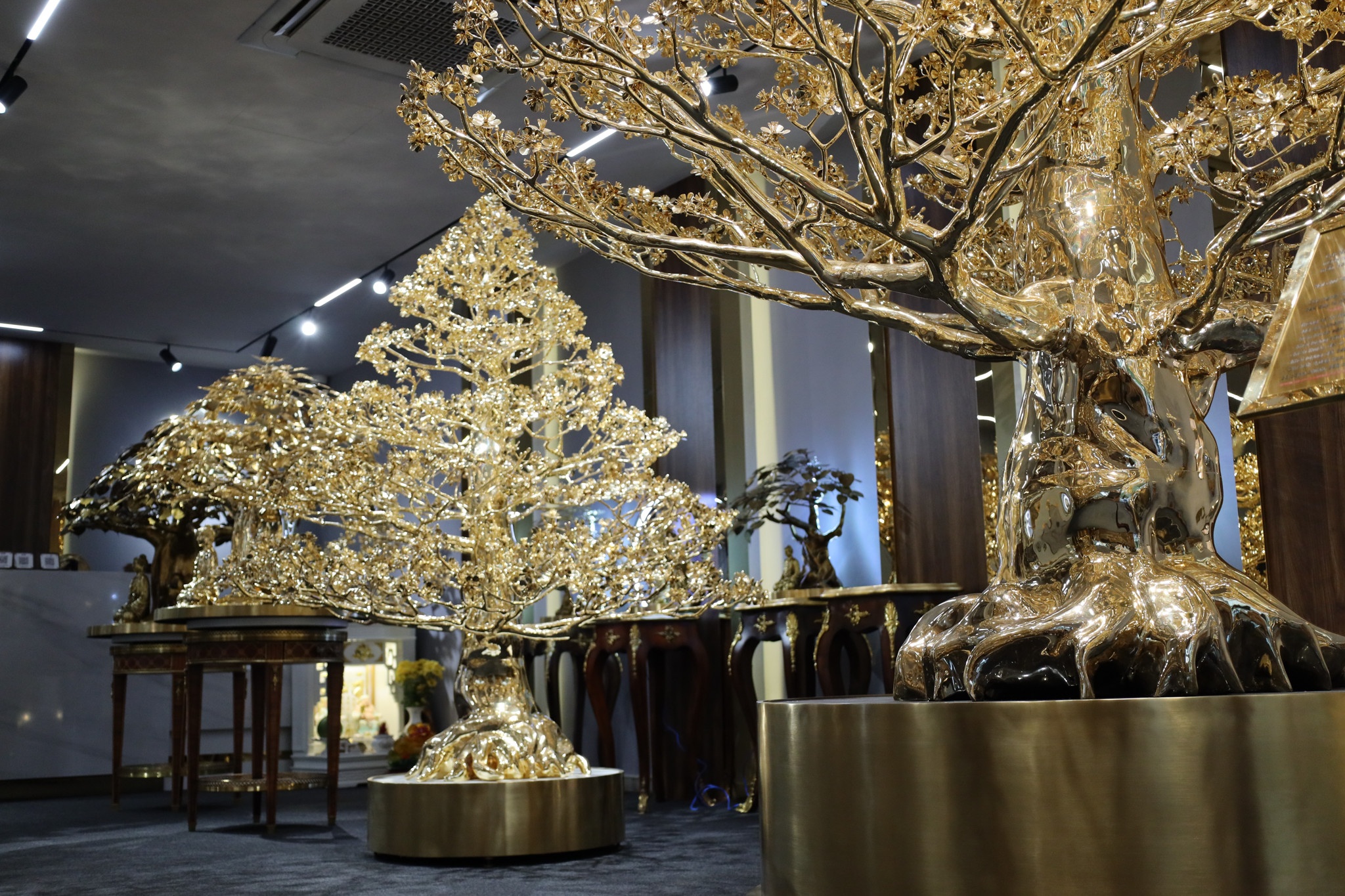 Chi tien ty mua bo de, dao, mai dat vang choi Tet o TP.HCM hinh anh