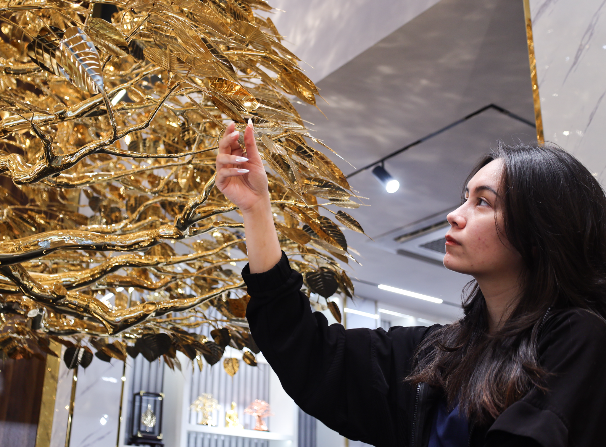 cây mạ vàng ở TP.HCM ảnh 2 cay ma vang o TP.HCM anh 2