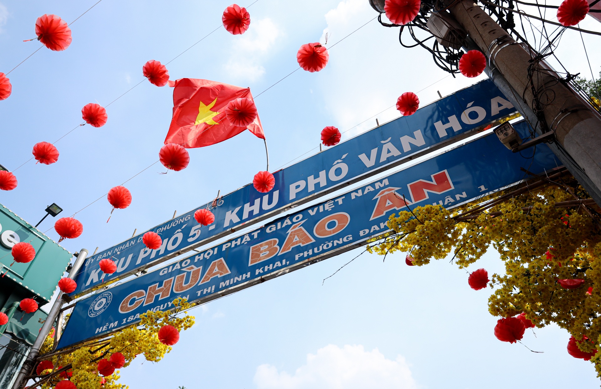 tết giáp thìn TP.HCM ảnh 12 tet giap thin TP.HCM anh 12