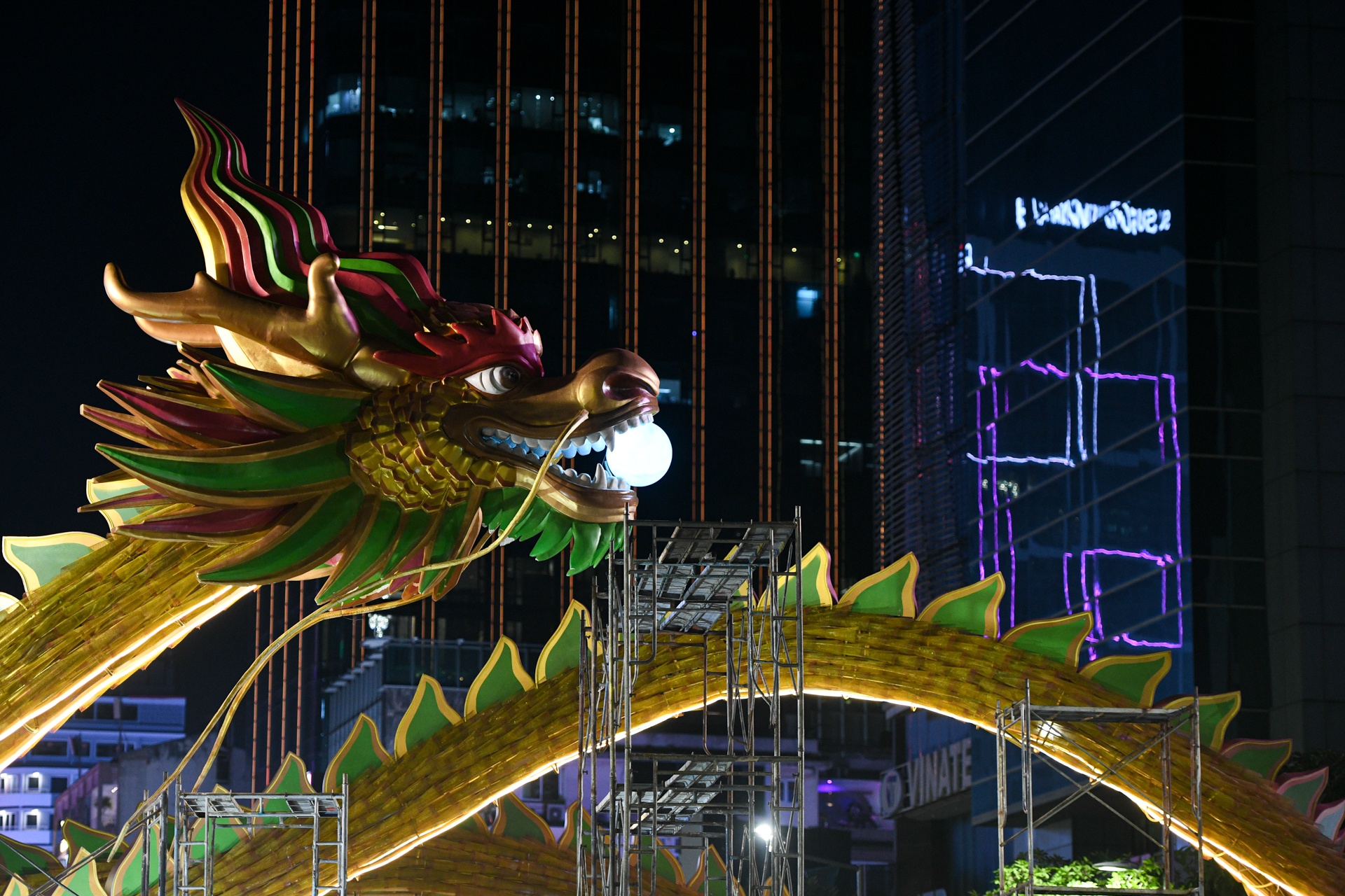 duong hoa Nguyen Hue 2024 anh 9