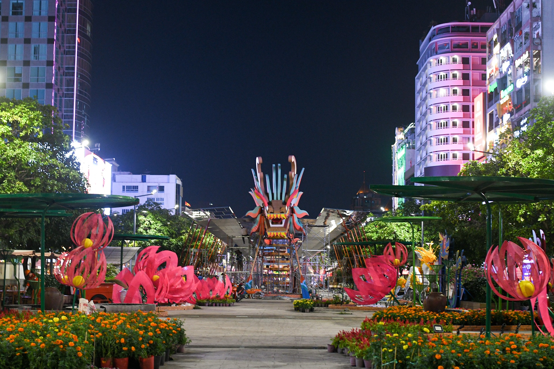 duong hoa Nguyen Hue 2024 anh 11