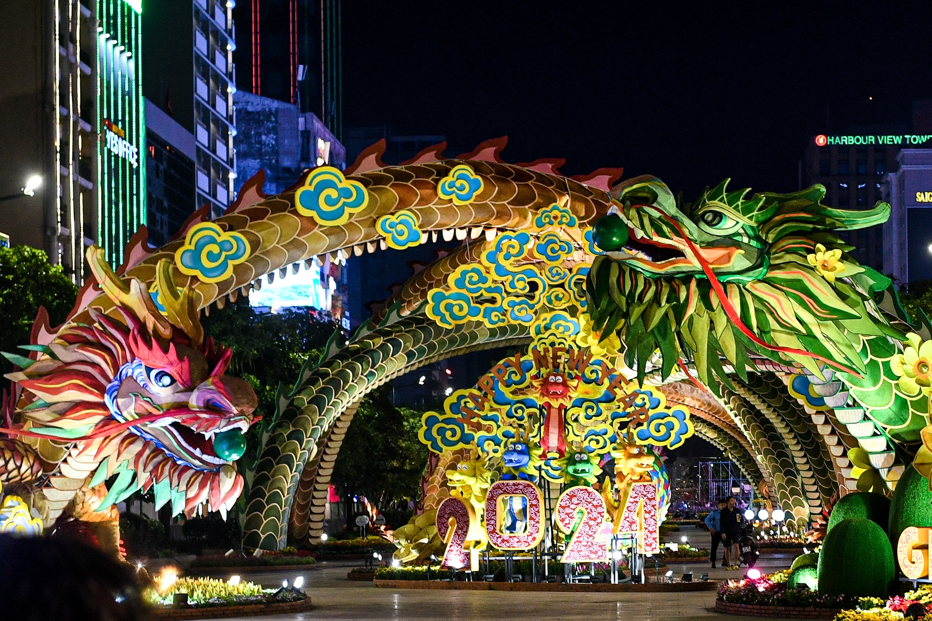 duong hoa Nguyen Hue 2024 anh 3