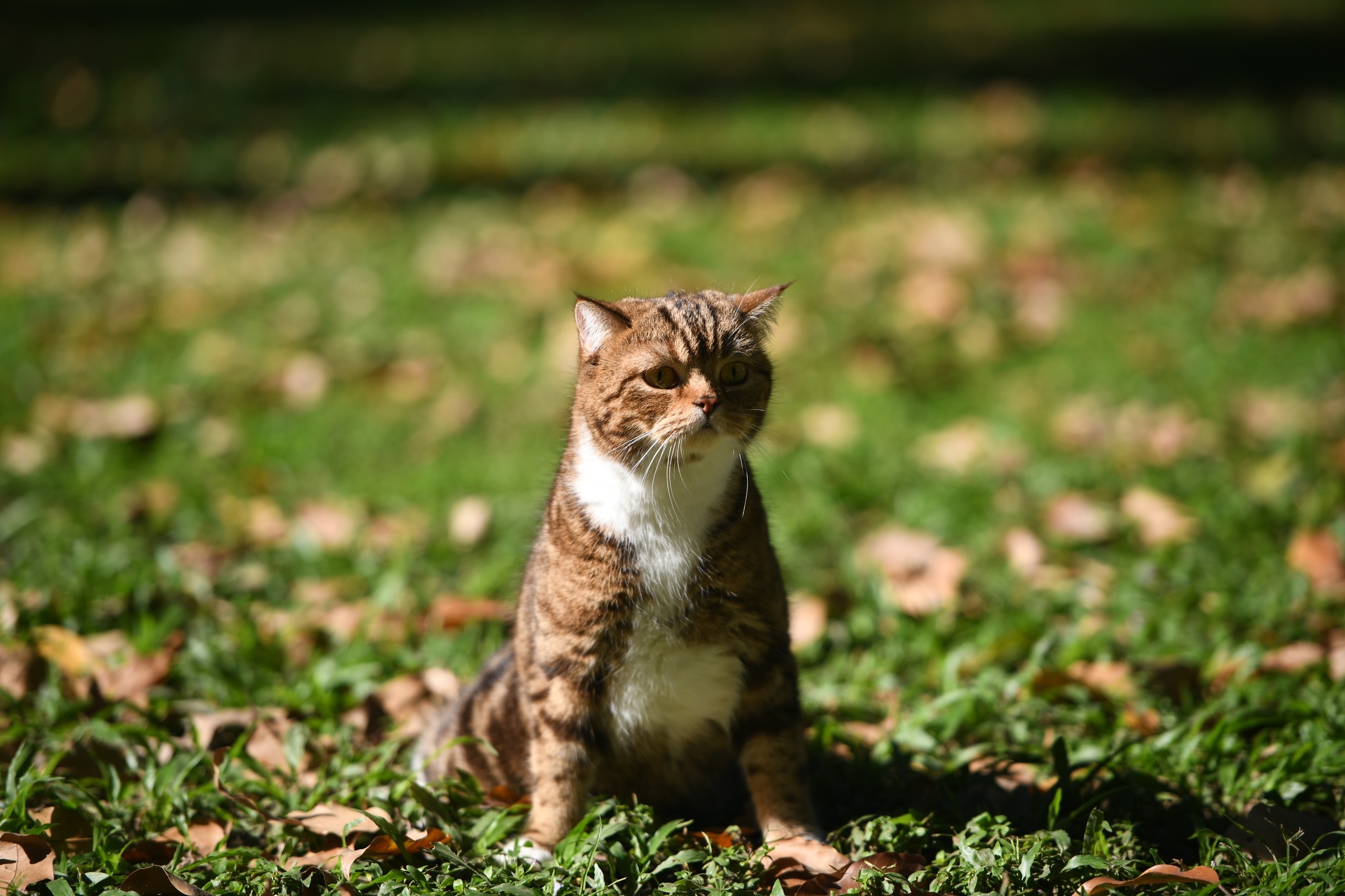 ngay cuoi nam o TP.HCM anh 7